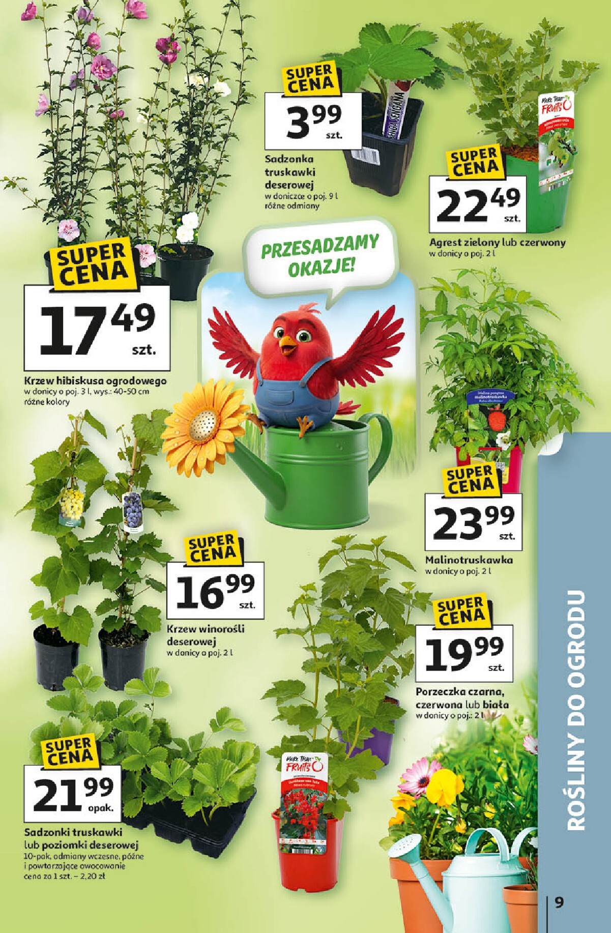 auchan - Gazetka Hipermarket Auchan - ważna od 09.04.2026 do 15.04.2026 - page: 9