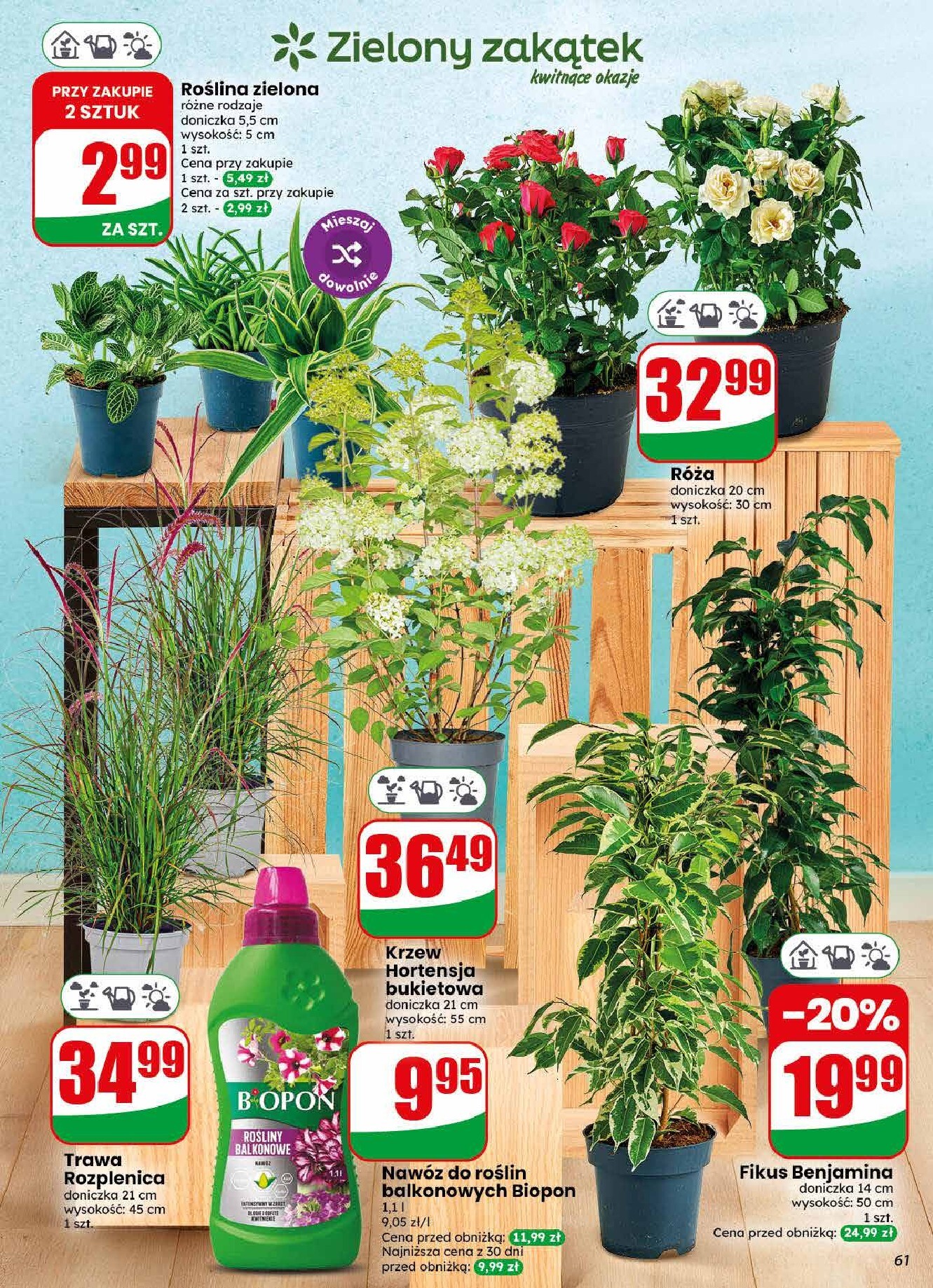 dino - Aktualna gazetka Dino ważna od 22.07.2026 do 28.07.2026 - page: 61