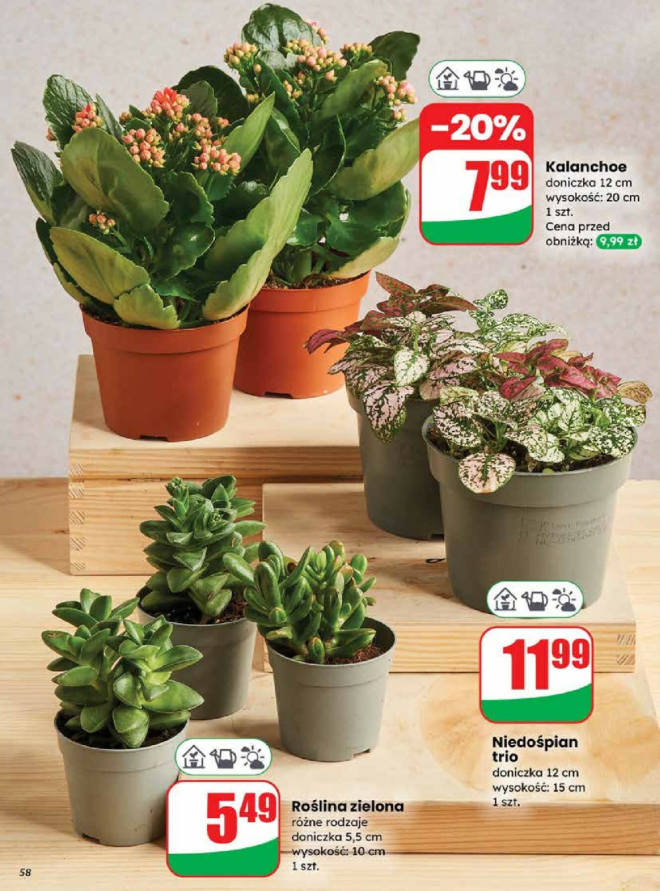 dino - Gazetka Dino - ważna od 27.12. do 30.12. - page: 58