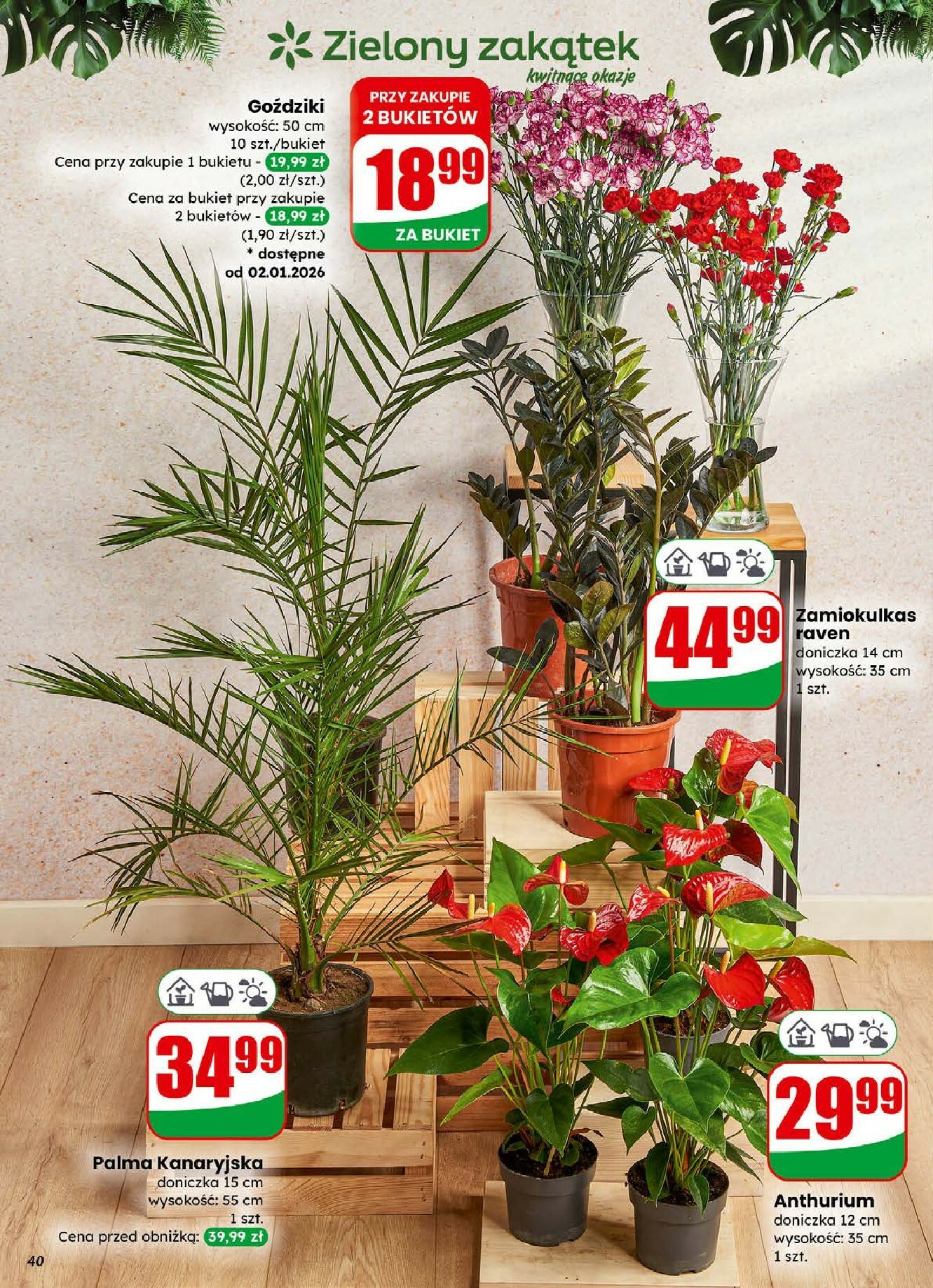 dino - Gazetka Dino - ważna od 31.12. do 05.01. - page: 40