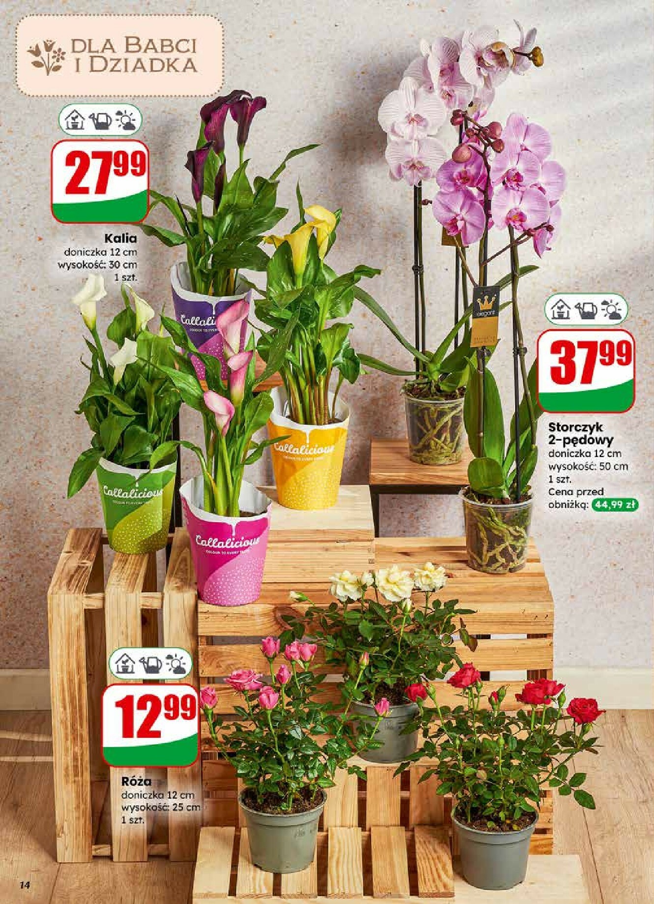 dino - Gazetka Dino - ważna od 21.01. do 27.01. - page: 14