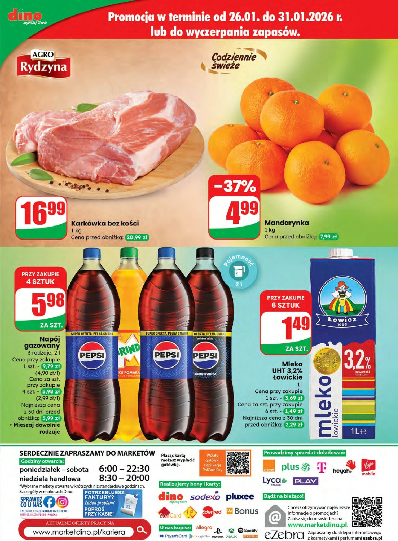 dino - Gazetka Dino - ważna od 28.01. do 03.02. - page: 61