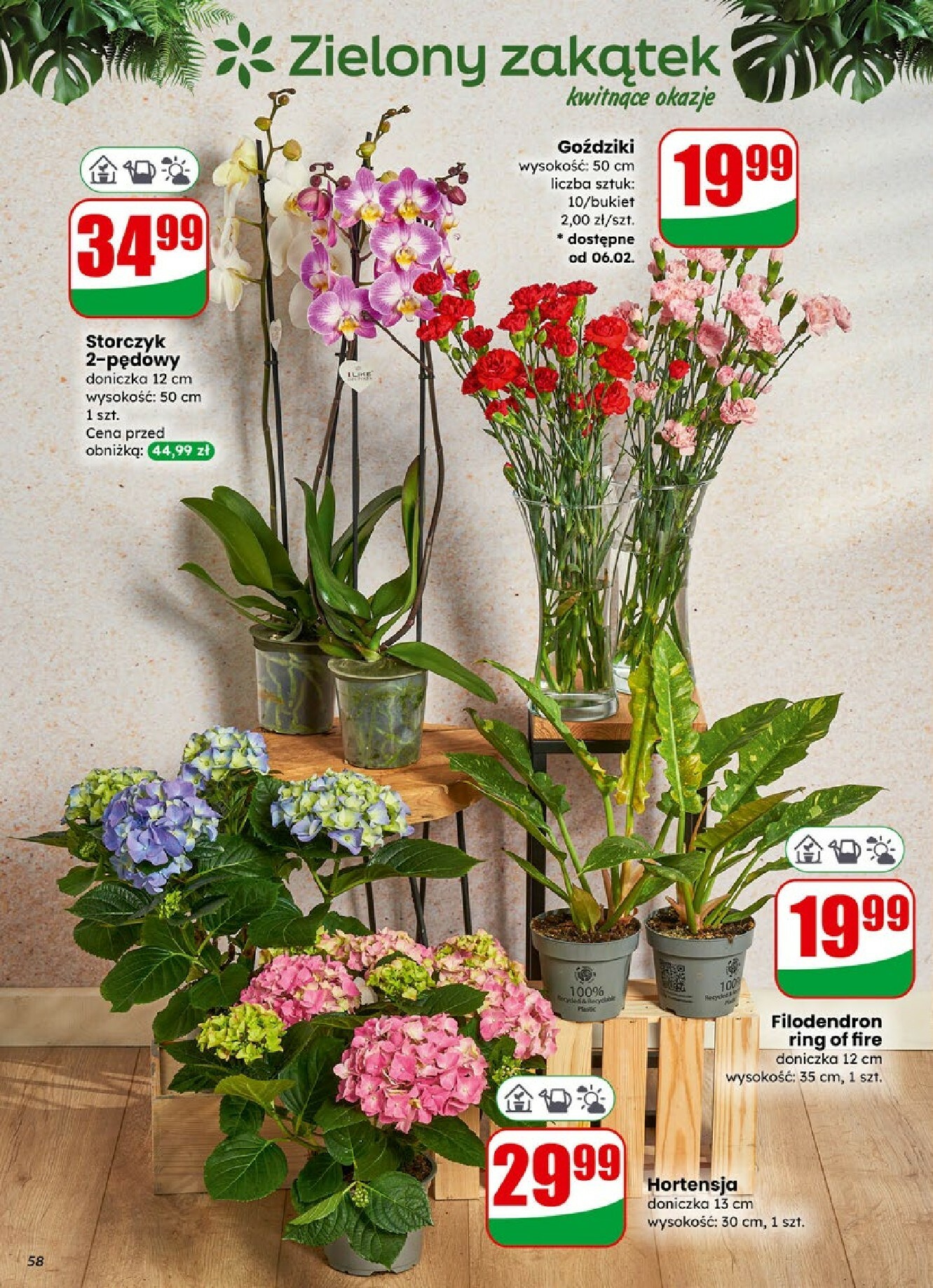 dino - Gazetka Dino - ważna od 04.02.2026 do 10.02.2026 - page: 58