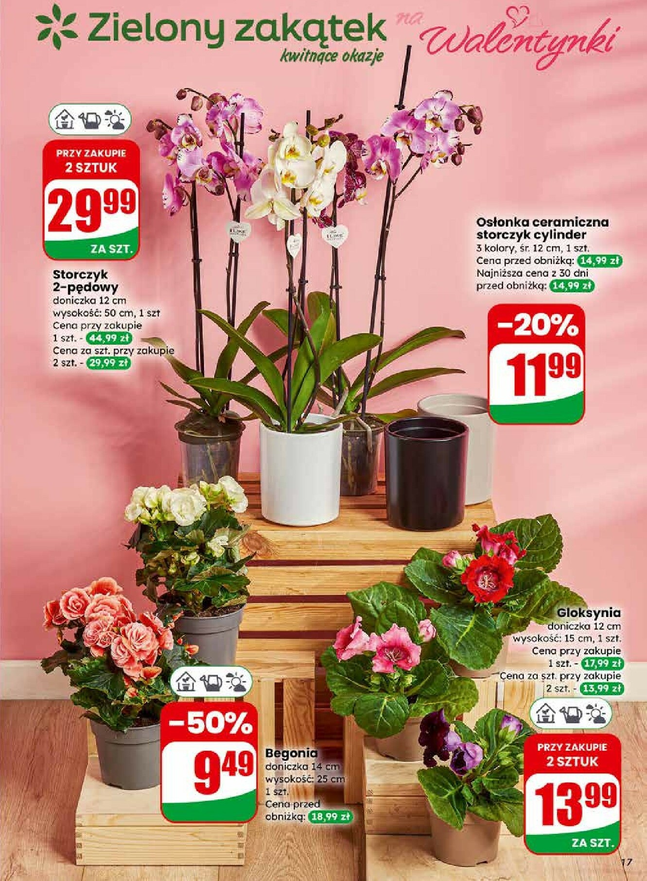 dino - Gazetka Dino - ważna od 11.02.2026 do 17.02.2026 - page: 17