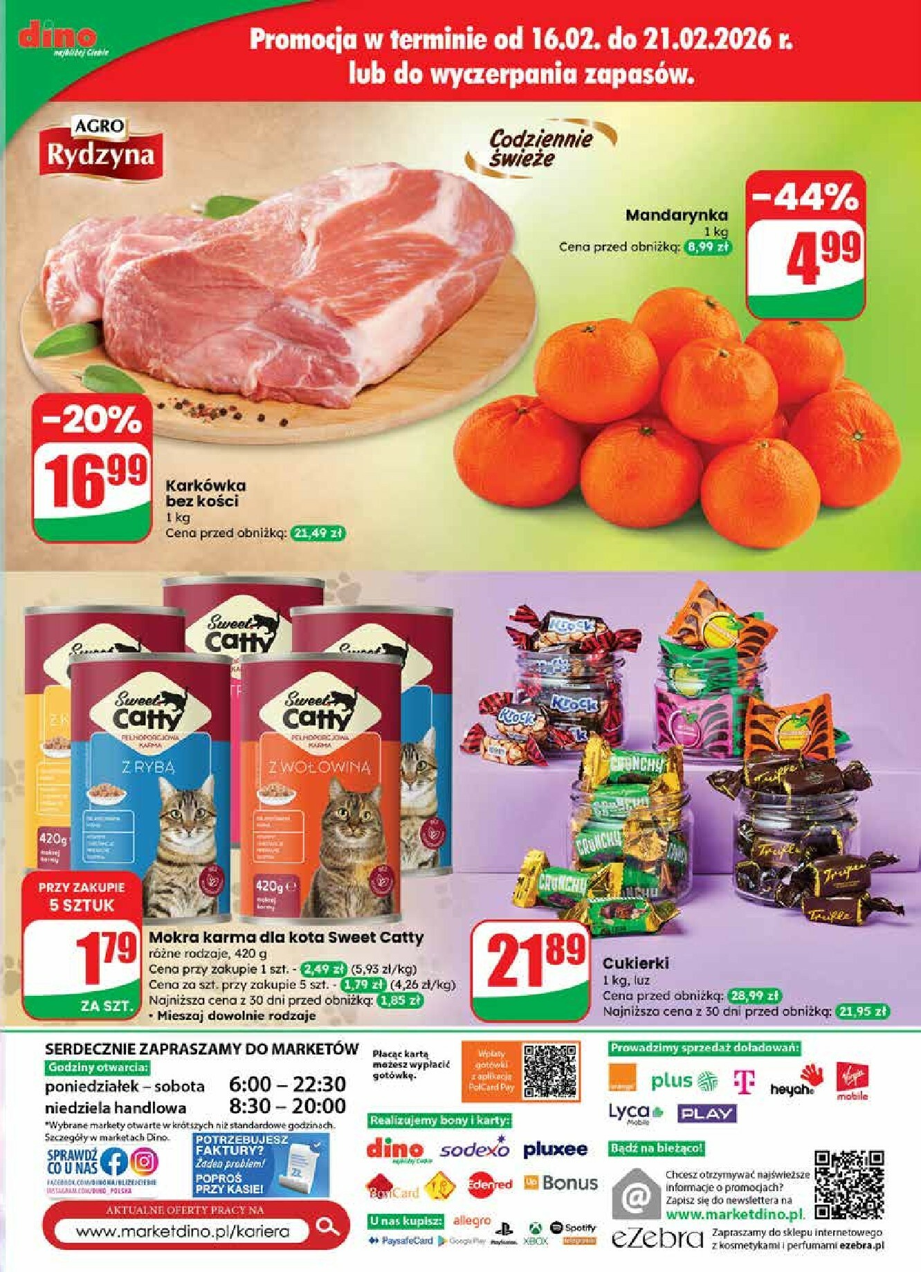 dino - Gazetka Dino - ważna od 18.02.2026 do 24.02.2026 - page: 63