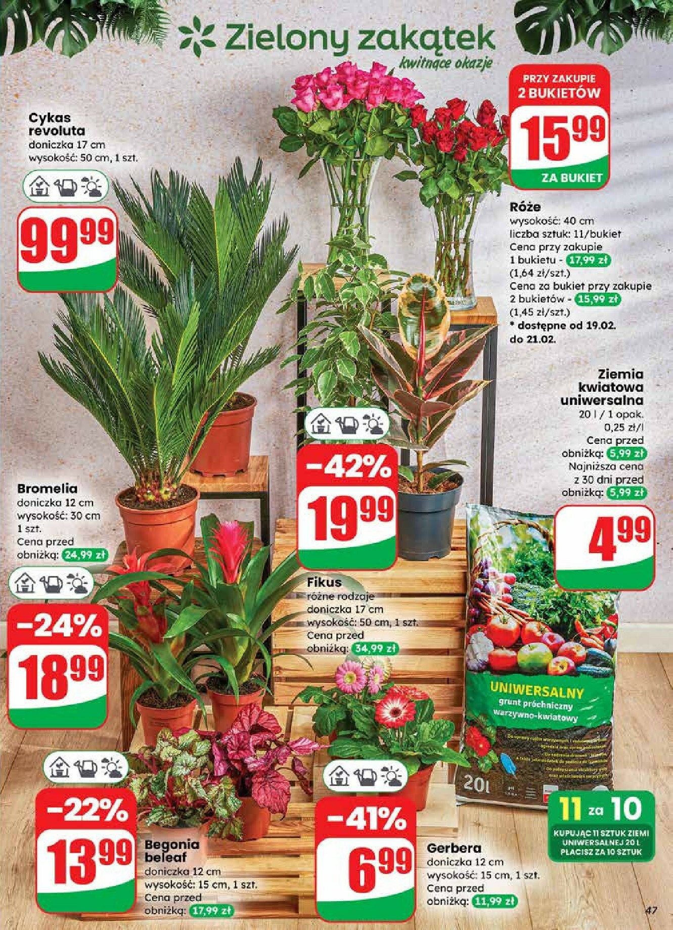 dino - Gazetka Dino - ważna od 18.02.2026 do 24.02.2026 - page: 47