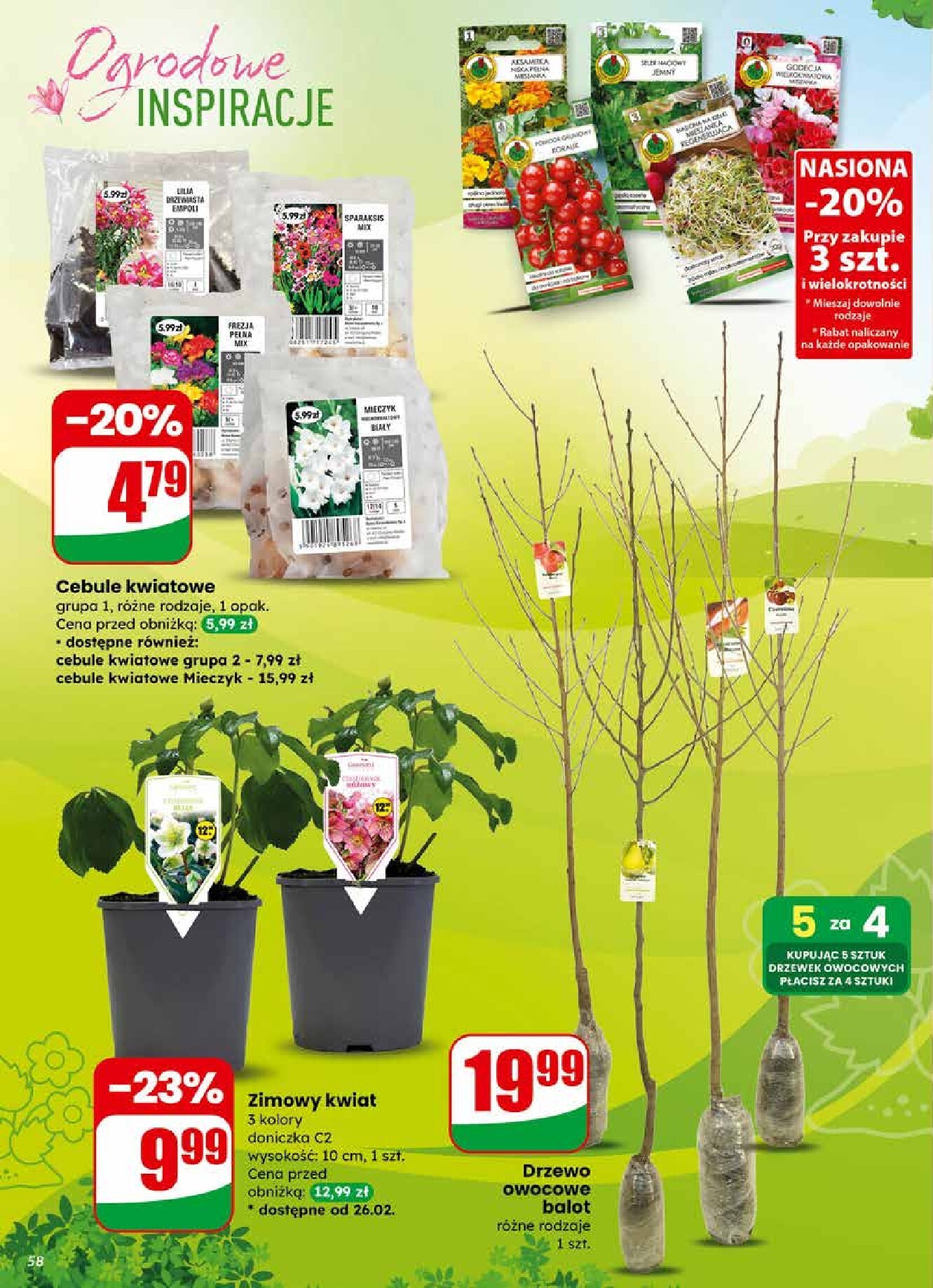 dino - Gazetka Dino - ważna od 25.02.2026 do 03.03.2026 - page: 58