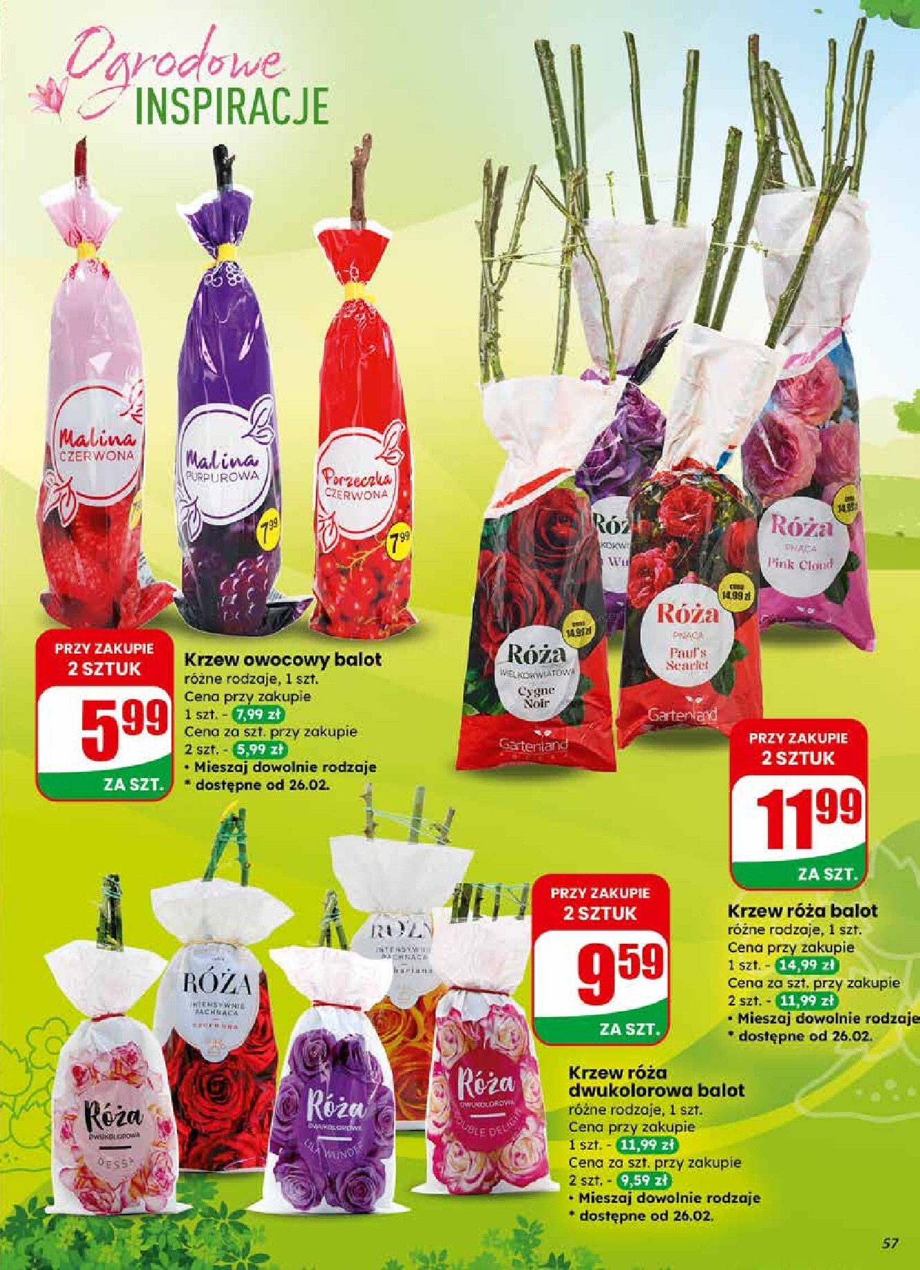 dino - Gazetka Dino - ważna od 25.02.2026 do 03.03.2026 - page: 57