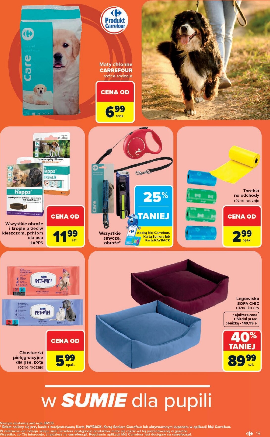 carrefour - Nowa gazetka Carrefour - Zoo katek ważna od 22.06.2026 do 04.07.2026 - page: 13