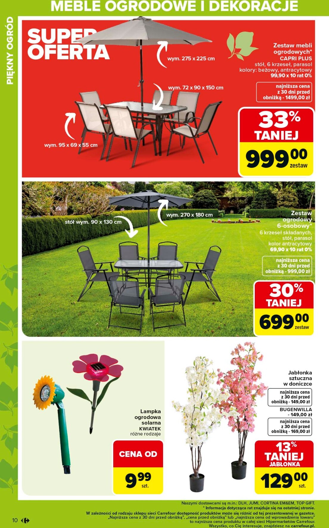 carrefour - Gazetka Carrefour - Ogród - ważna od 02.03.2026 do 04.04.2026 - page: 10