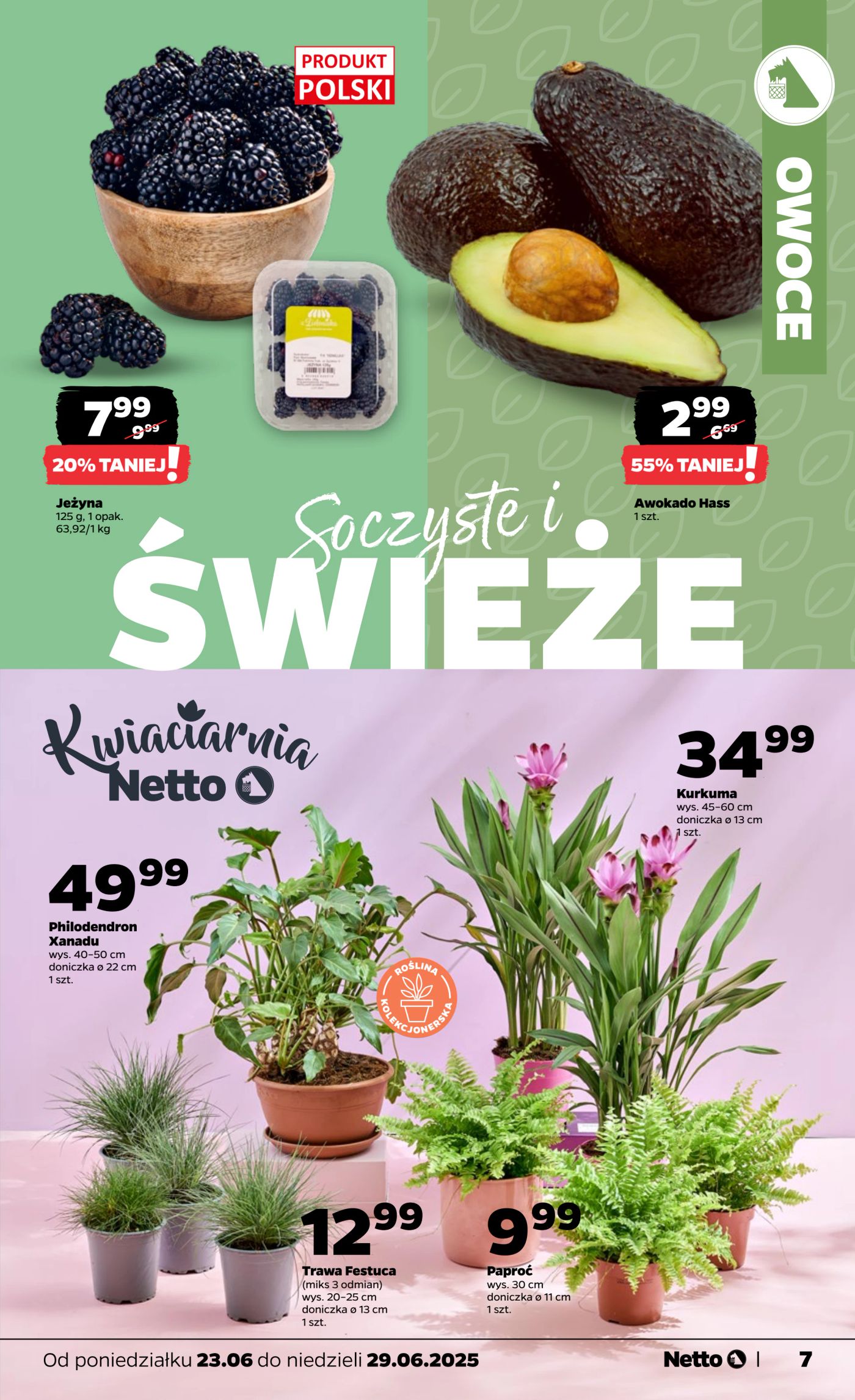 netto - Gazetka Netto ważna od 23.06. - 29.06. - page: 7