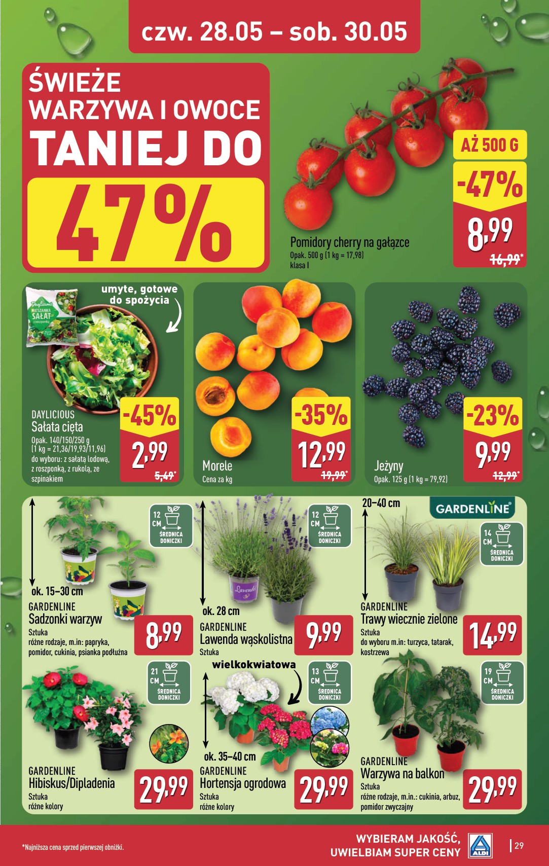 aldi - Nowa gazetka ALDI ważna od 25.05.2026 do 30.05.2026 - page: 29