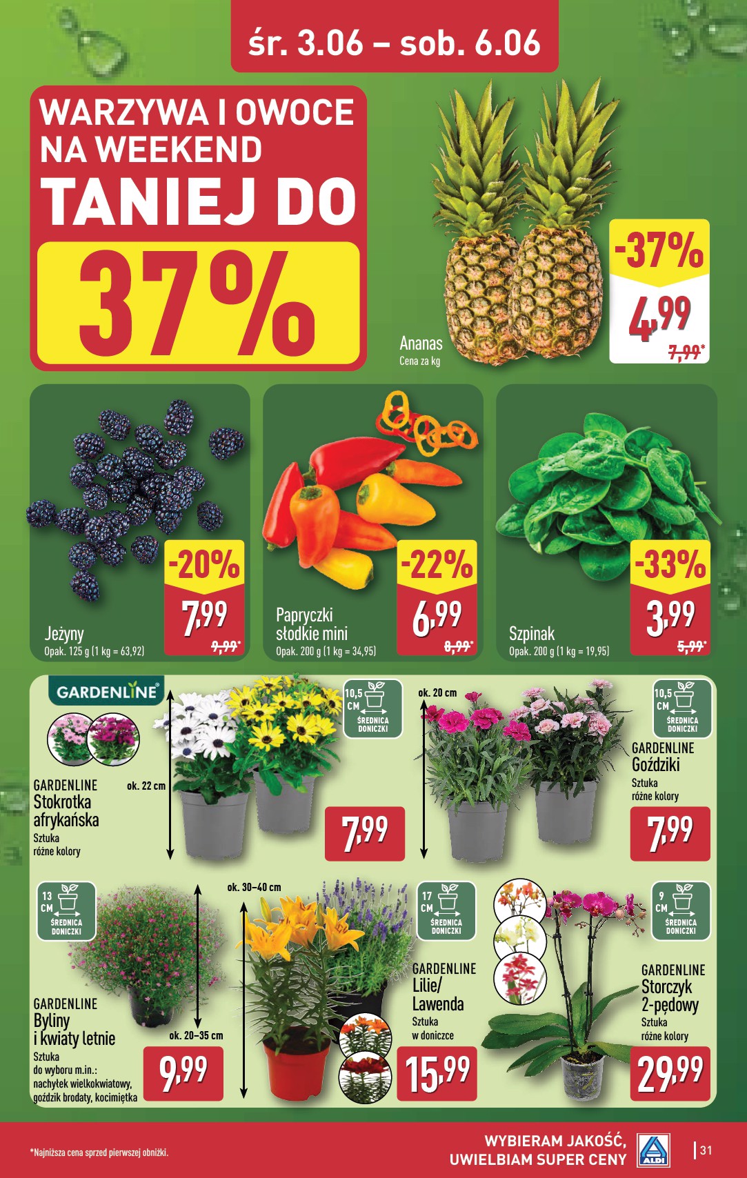 aldi - Aktualna gazetka ALDI ważna od 01.06.2026 do 06.06.2026 - page: 31