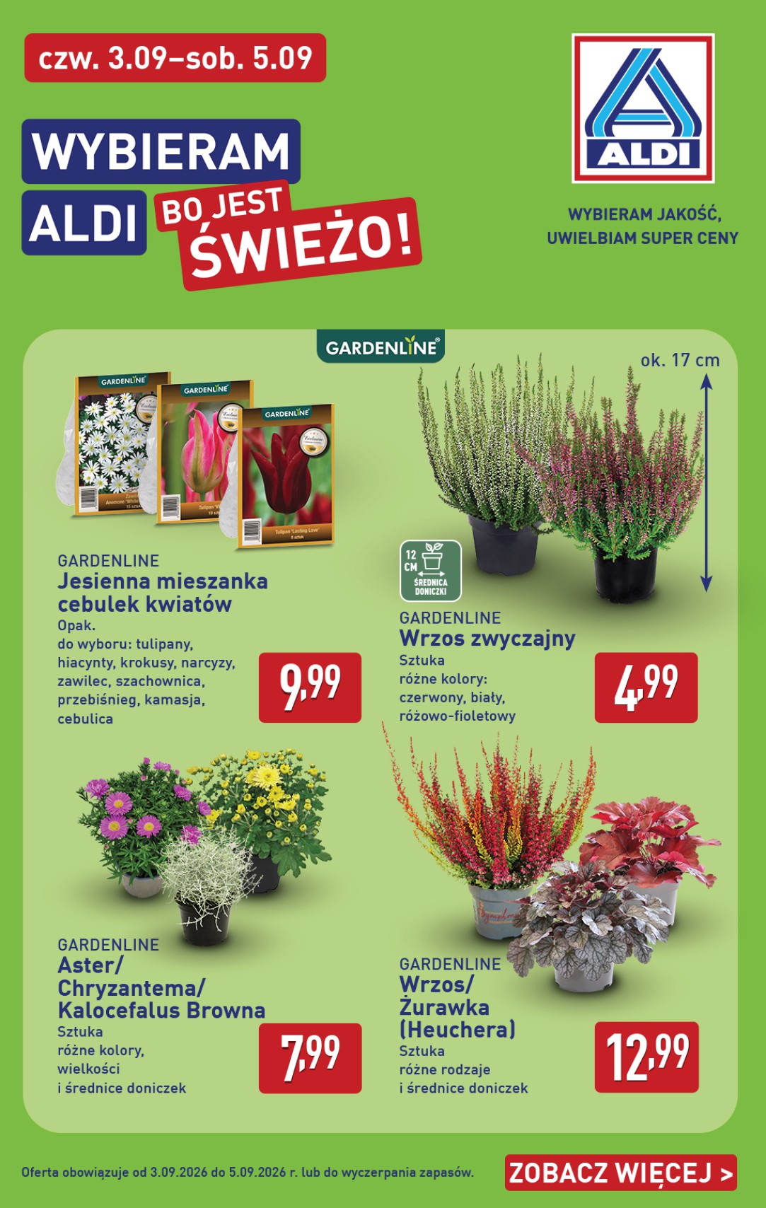 aldi - Aktualna gazetka ALDI ważna od 31.08.2026 do 05.09.2026 - page: 38