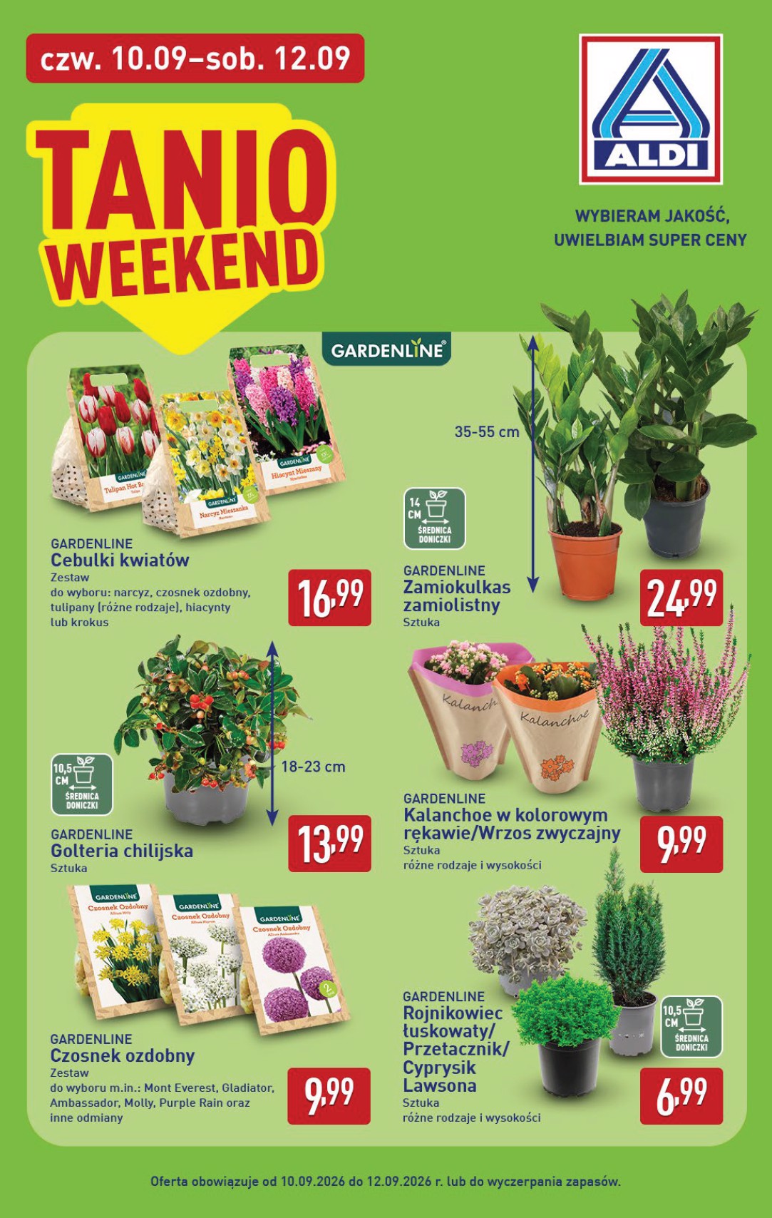 aldi - Nowa gazetka ALDI ważna od 07.09.2026 do 12.09.2026 - page: 34