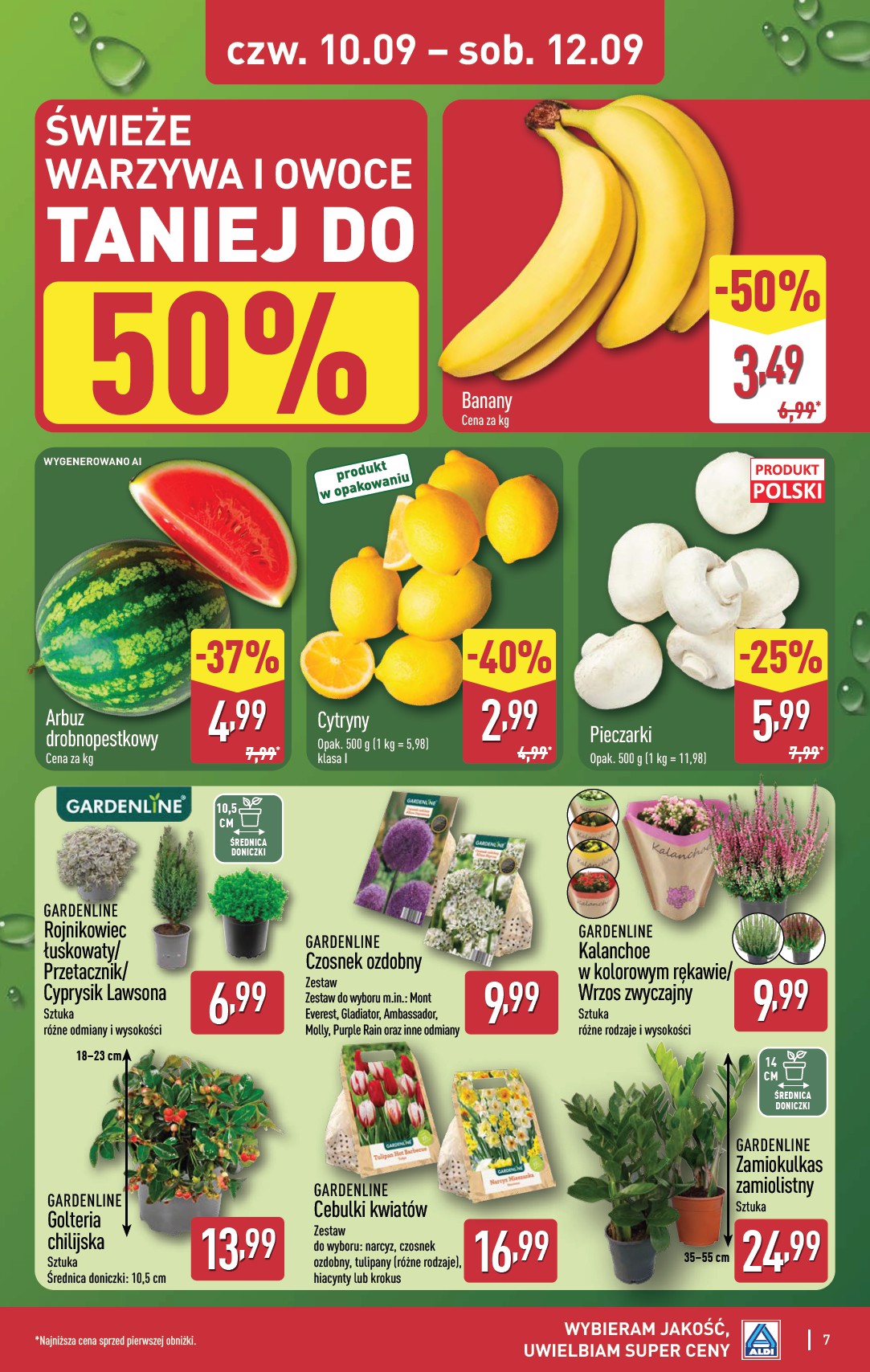 aldi - Nowa gazetka ALDI - Oferta weekendowa ważna od 10.09.2026 do 12.09.2026 - page: 7