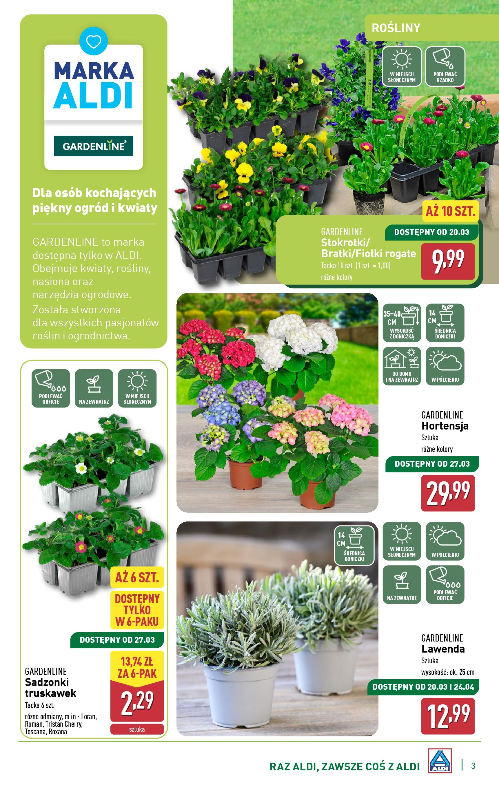 aldi - ALDI - Katalog ogrodowy gazetka ważna od 05.03. - 30.04. - page: 3 aldi - ALDI - Katalog ogrodowy gazetka ważna od 05.03. - 30.04. - page: 3