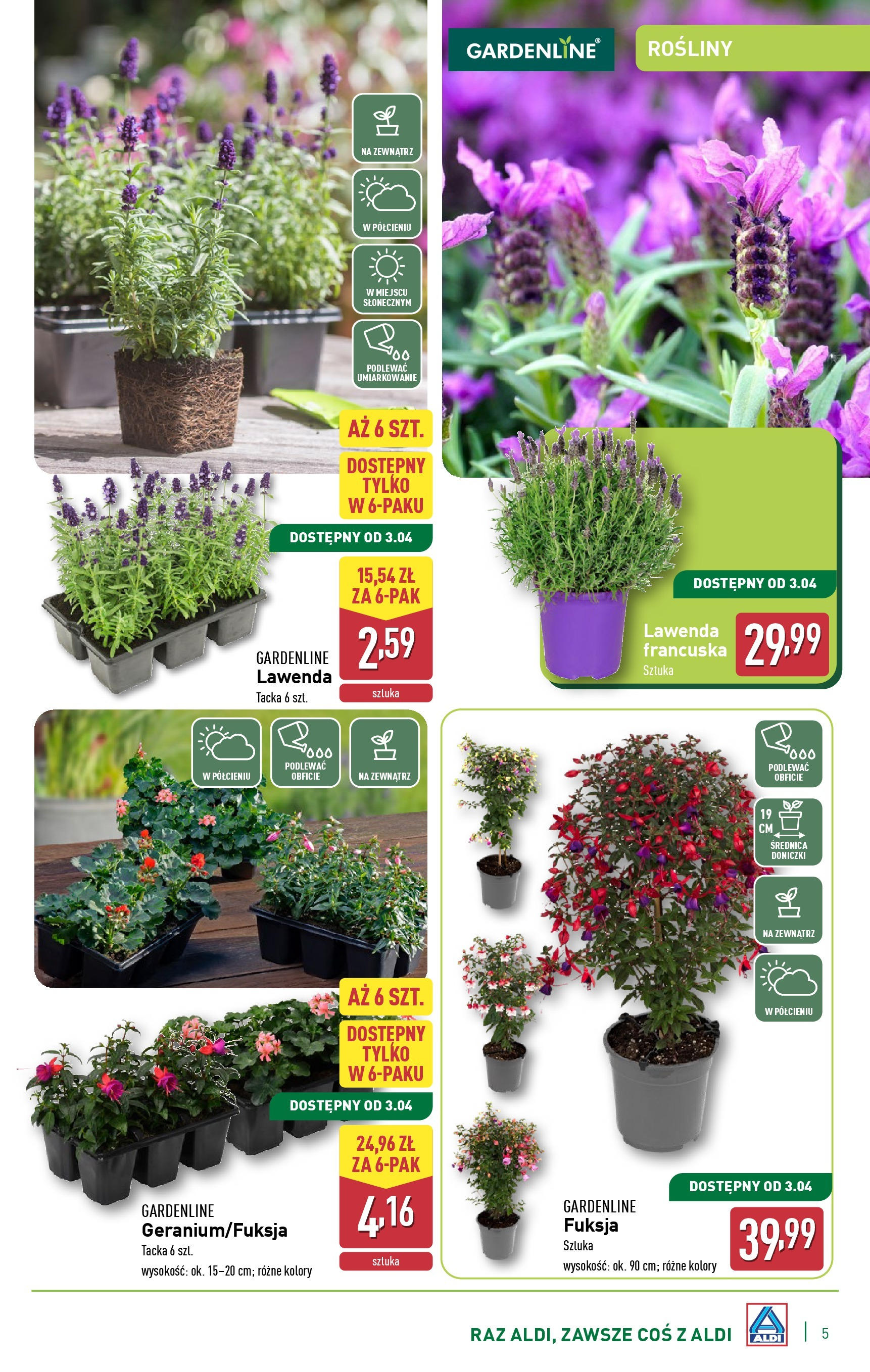 aldi - ALDI - Katalog ogrodowy gazetka ważna od 05.03. - 30.04. - page: 5 aldi - ALDI - Katalog ogrodowy gazetka ważna od 05.03. - 30.04. - page: 5