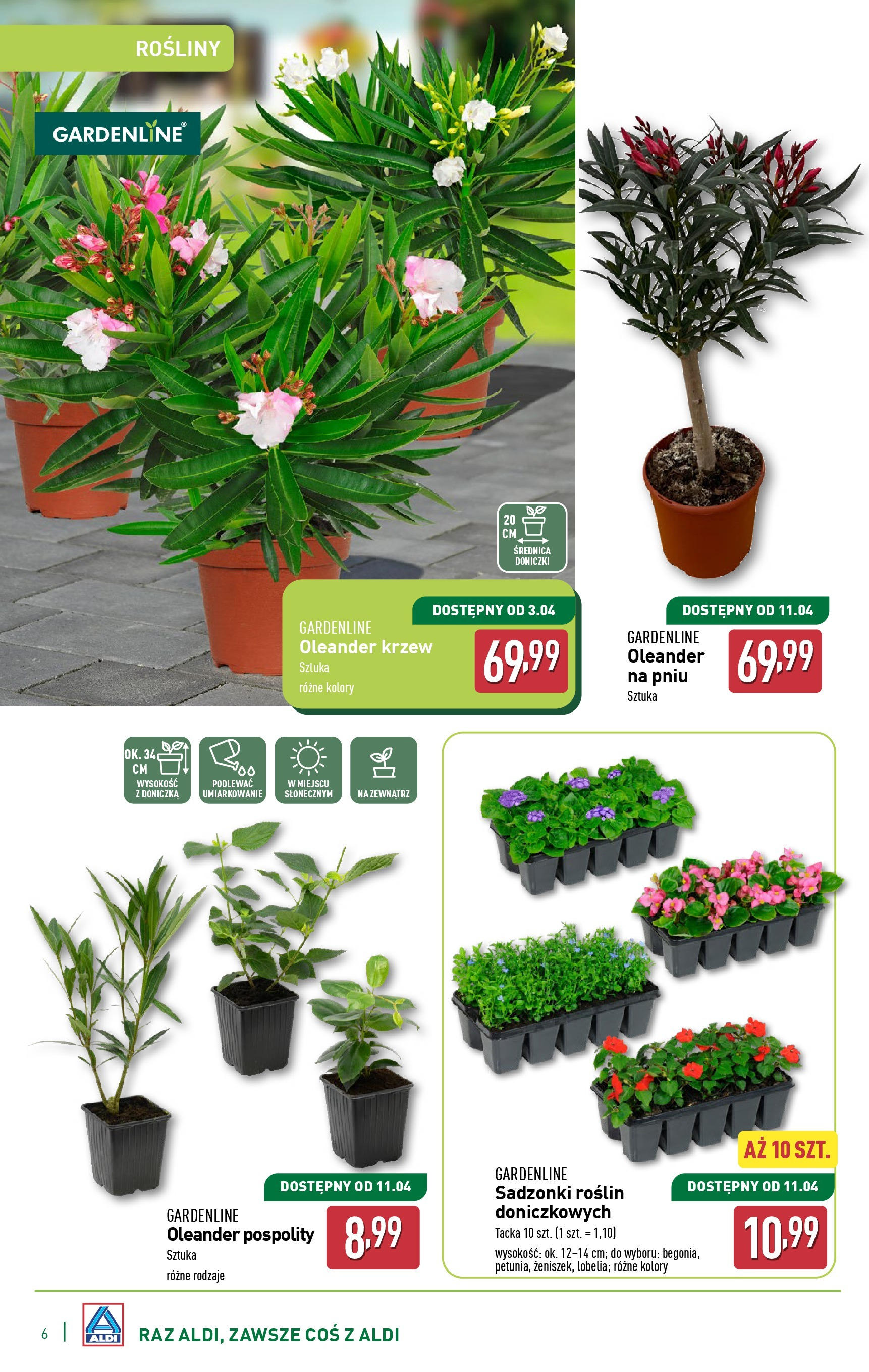 aldi - ALDI - Katalog ogrodowy gazetka ważna od 05.03. - 30.04. - page: 6 aldi - ALDI - Katalog ogrodowy gazetka ważna od 05.03. - 30.04. - page: 6