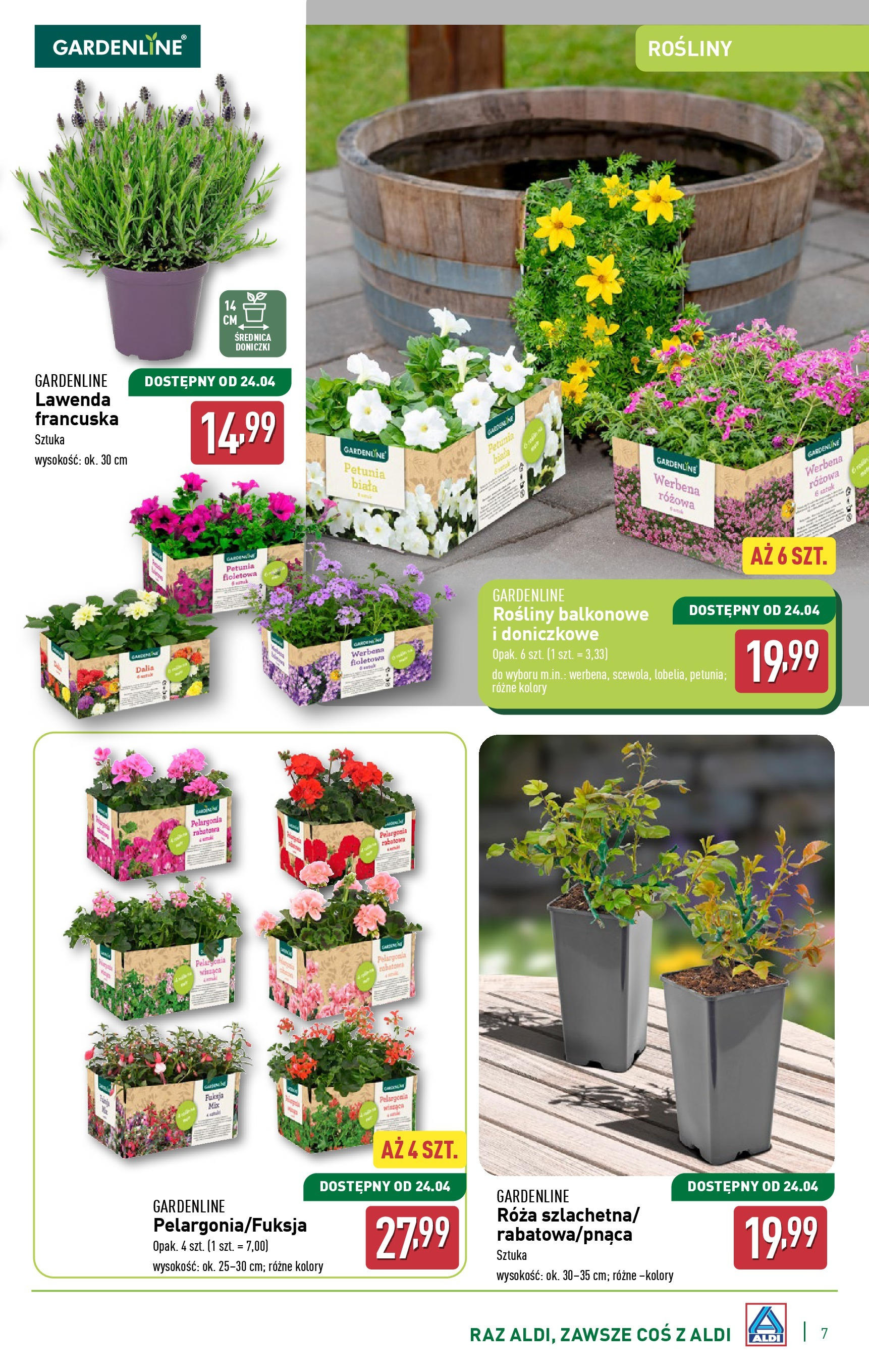 aldi - ALDI - Katalog ogrodowy gazetka ważna od 05.03. - 30.04. - page: 7 aldi - ALDI - Katalog ogrodowy gazetka ważna od 05.03. - 30.04. - page: 7