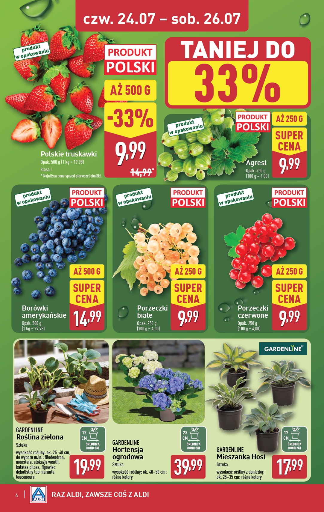 aldi - Gazetka ALDI - Oferta weekendowa ważna od 24.07. - 26.07. - page: 4