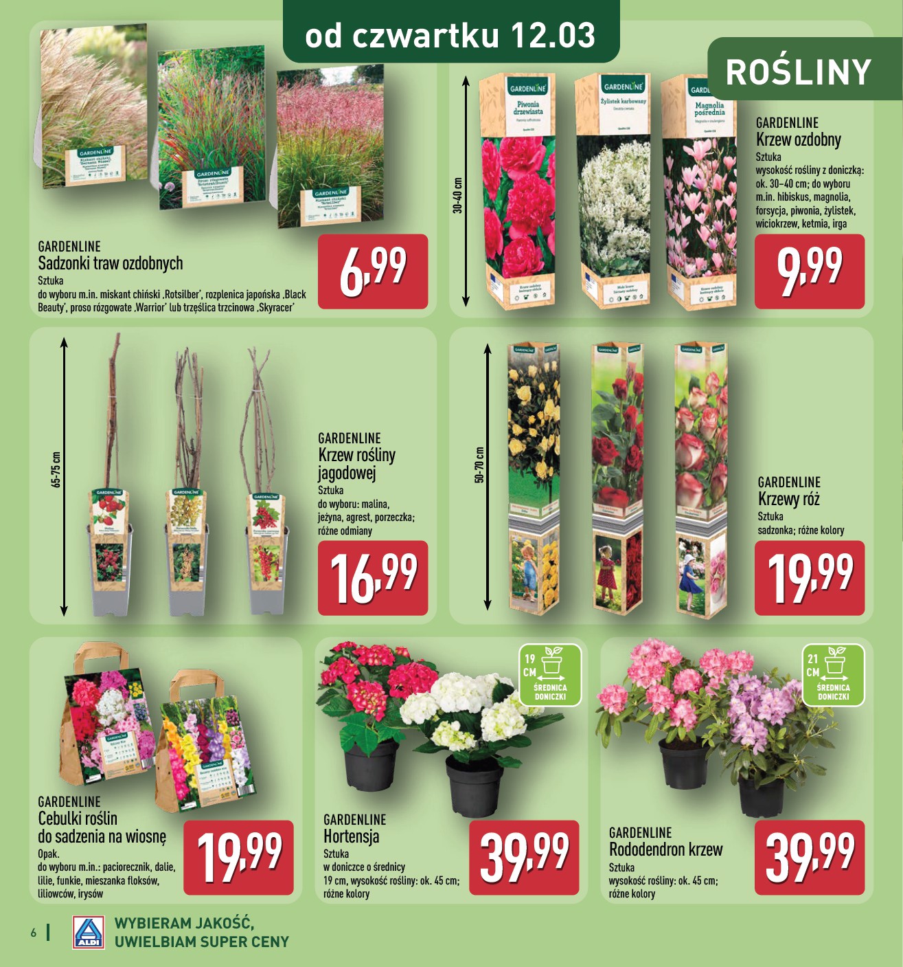 aldi - Gazetka ALDI - Katalog ogrodowy - ważna od 25.02.2026 do 31.05.2026 - page: 6