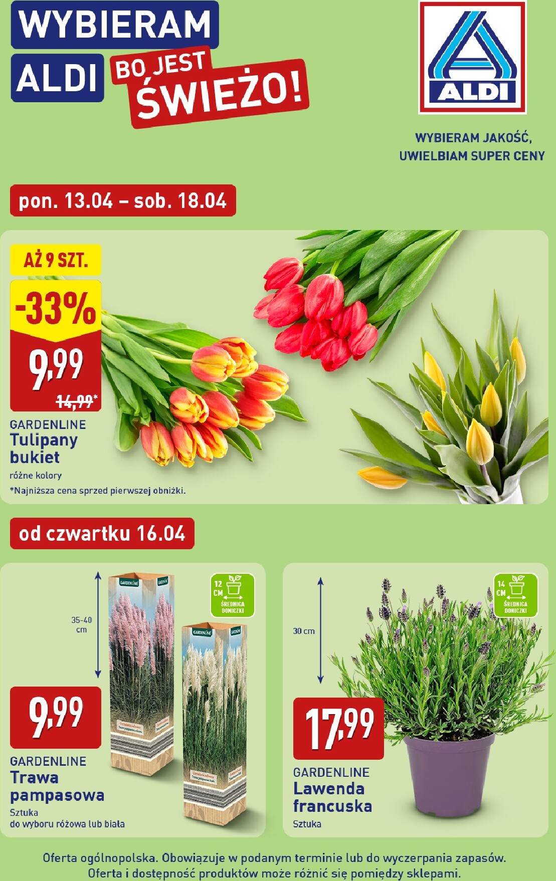 aldi - Nowa gazetka ALDI ważna od 13.04.2026 do 18.04.2026 - page: 6