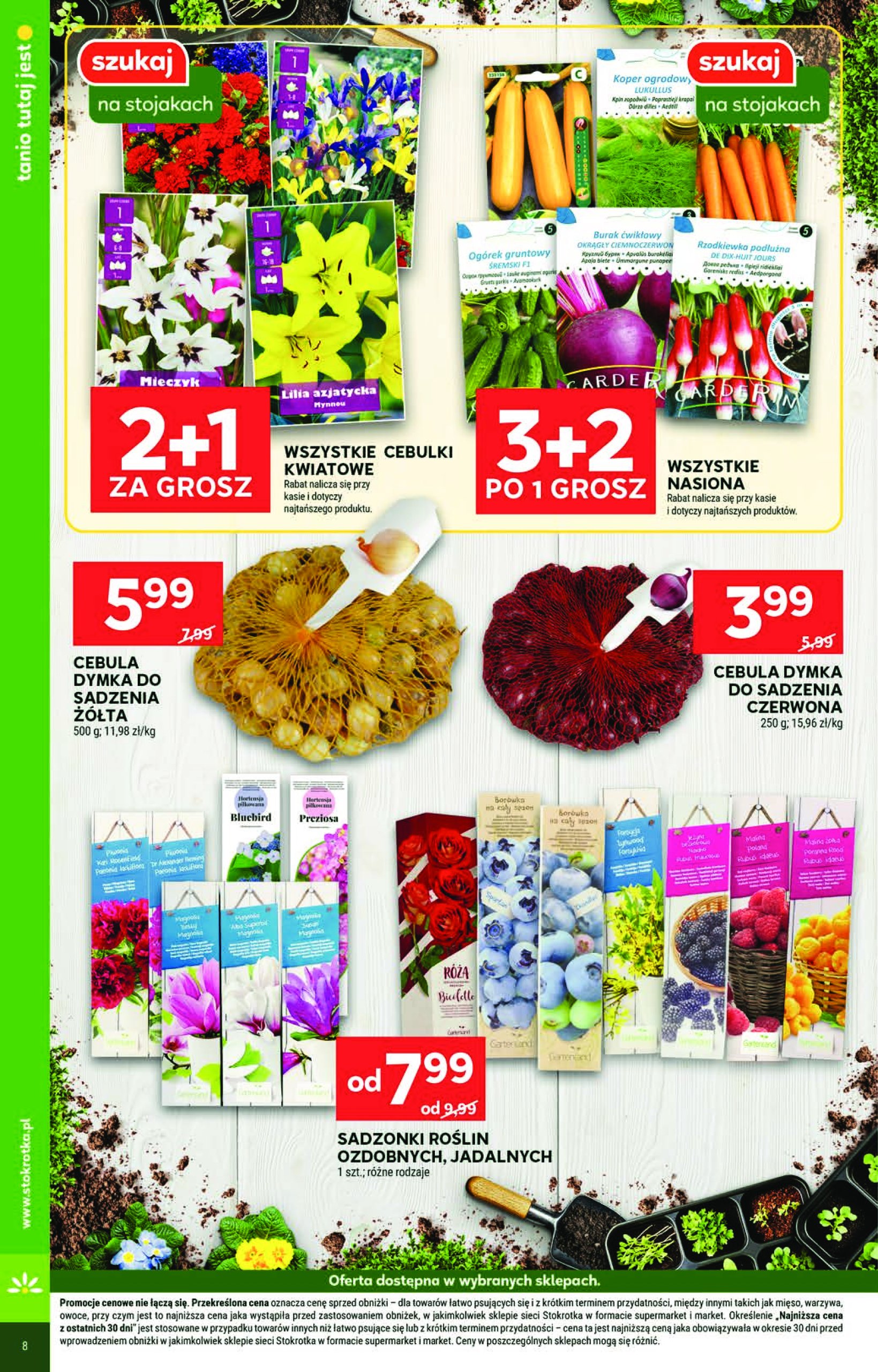 stokrotka - Stokrotka - Market gazetka ważna od 23.04. - 28.04. - page: 22