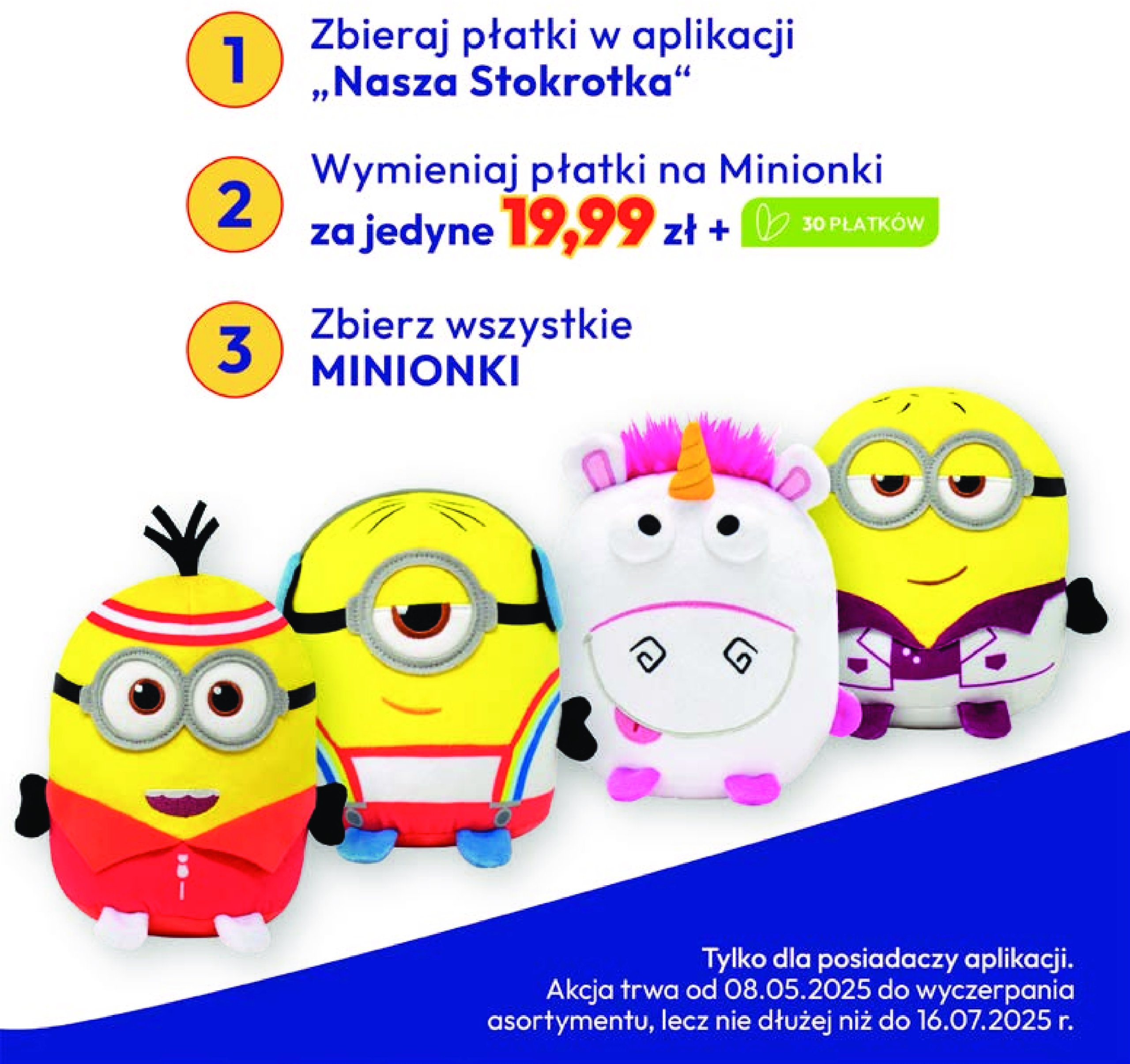 stokrotka - Gazetka Stokrotka - Katalog Kulinarny ważna od 12.06. - 25.06. - page: 21