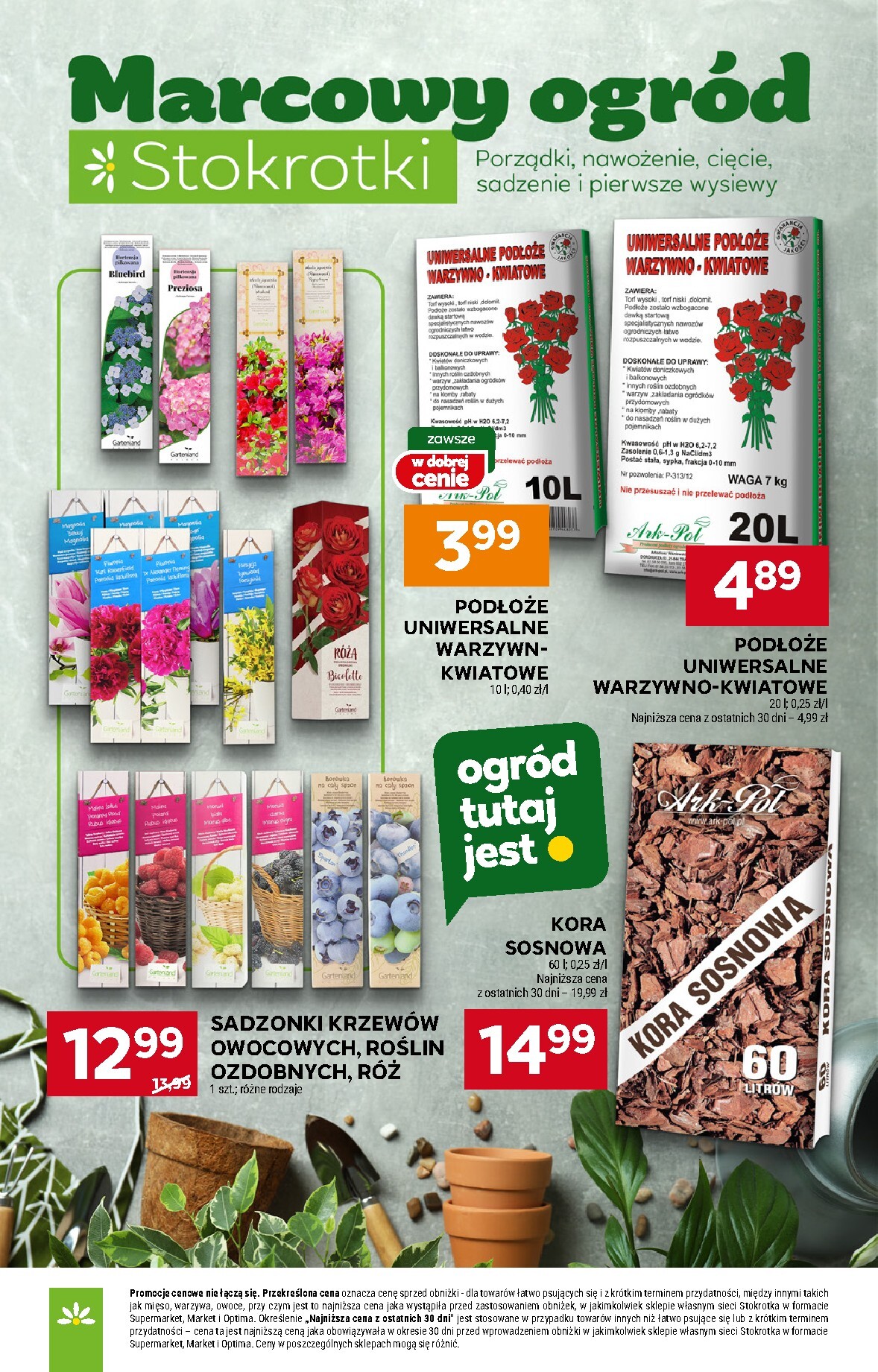 stokrotka - Gazetka Stokrotka - Market - ważna od 12.03.2026 do 18.03.2026 - page: 18