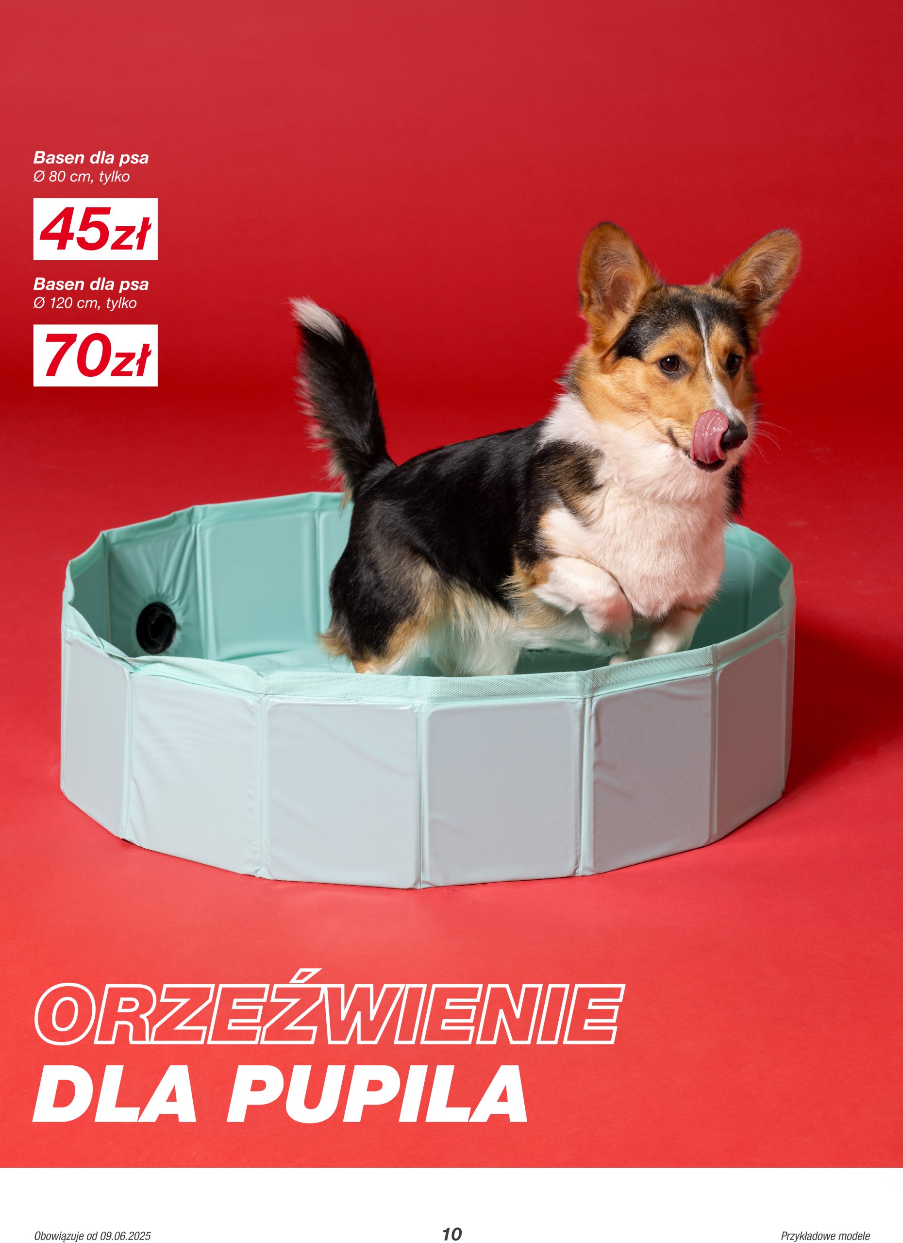 kik - Gazetka Kik ważna od 09.06. - 13.07. - page: 10
