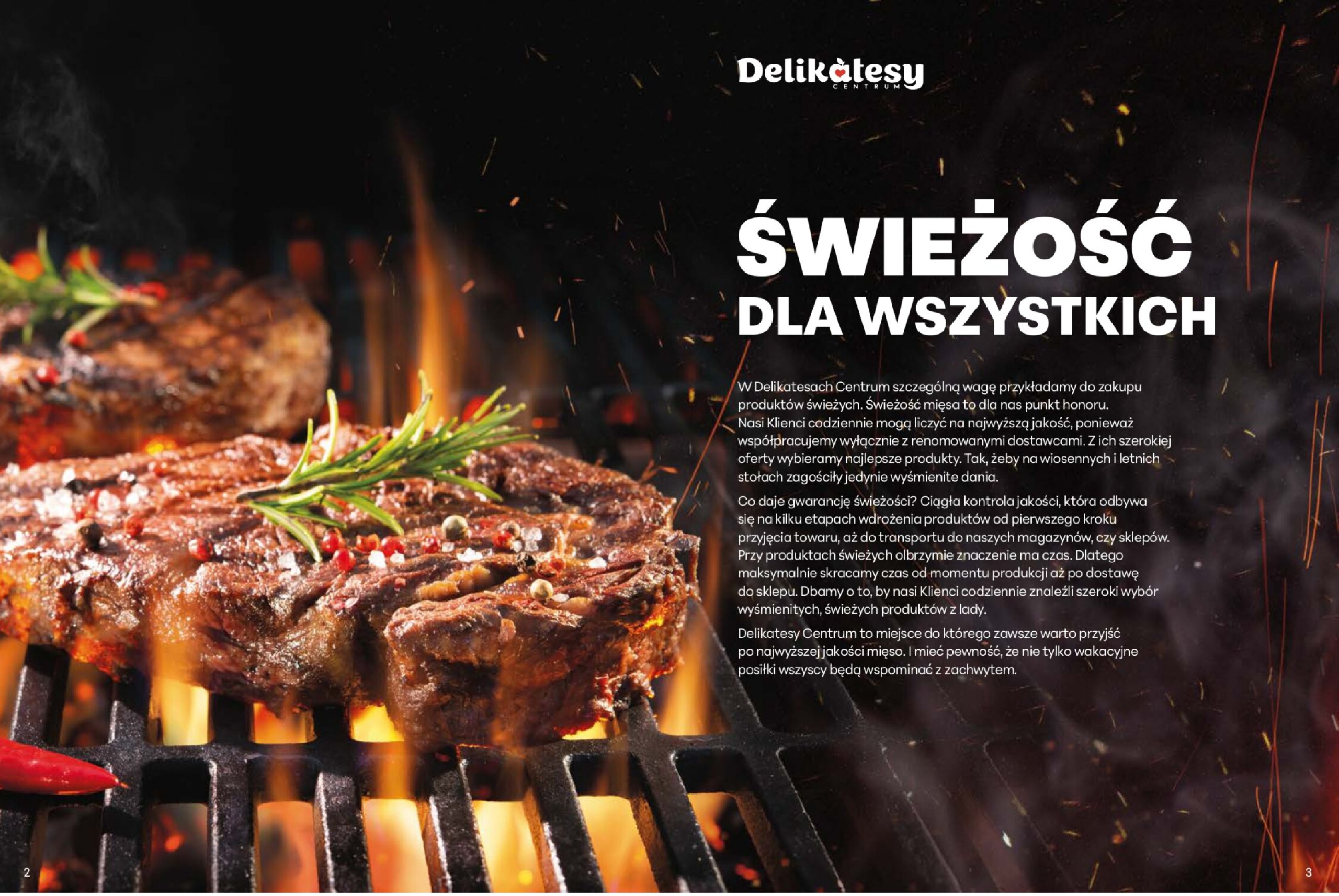 delikatesy-centrum - Delikatesy Centrum - Katalog Lada gazetka ważna od 19.05. - 31.05. - page: 2
