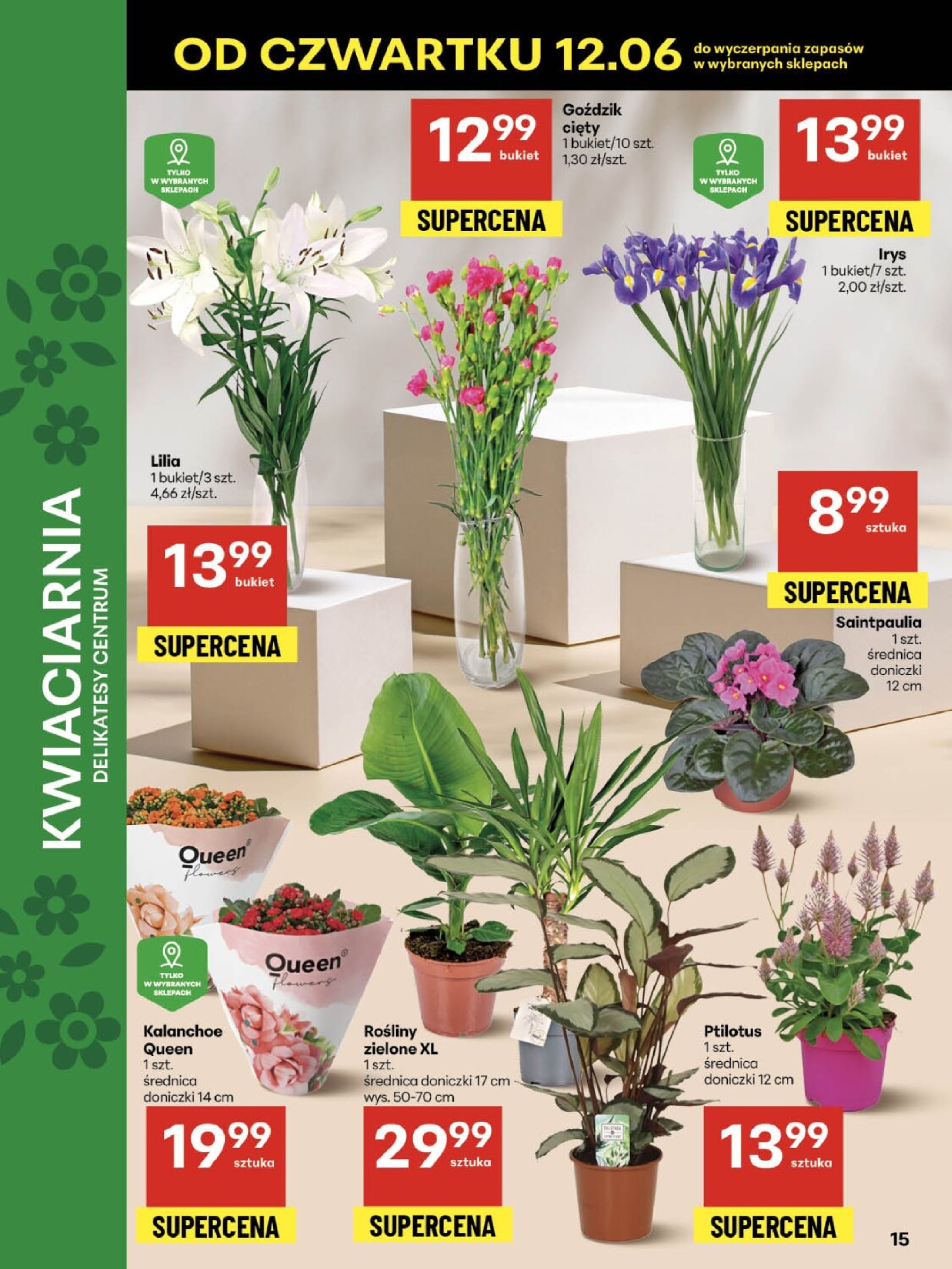 delikatesy-centrum - Gazetka Delikatesy Centrum ważna od 12.06. - 18.06. - page: 15