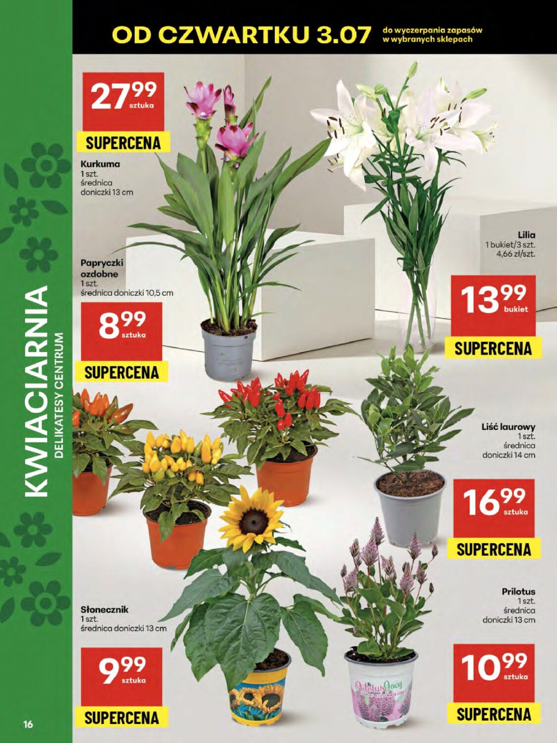 delikatesy-centrum - Gazetka Delikatesy Centrum ważna od 03.07. - 09.07. - page: 16 delikatesy-centrum - Gazetka Delikatesy Centrum ważna od 03.07. - 09.07. - page: 16