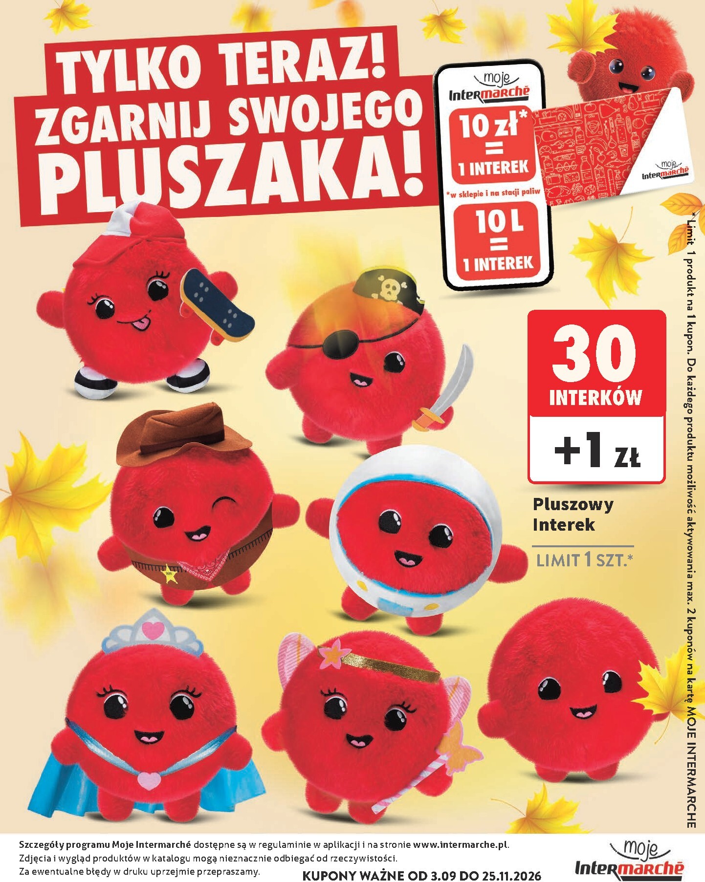 intermarche - Aktualna gazetka Intermarché - Katalog interki ważna od 03.09.2026 do 25.11.2026 - page: 33