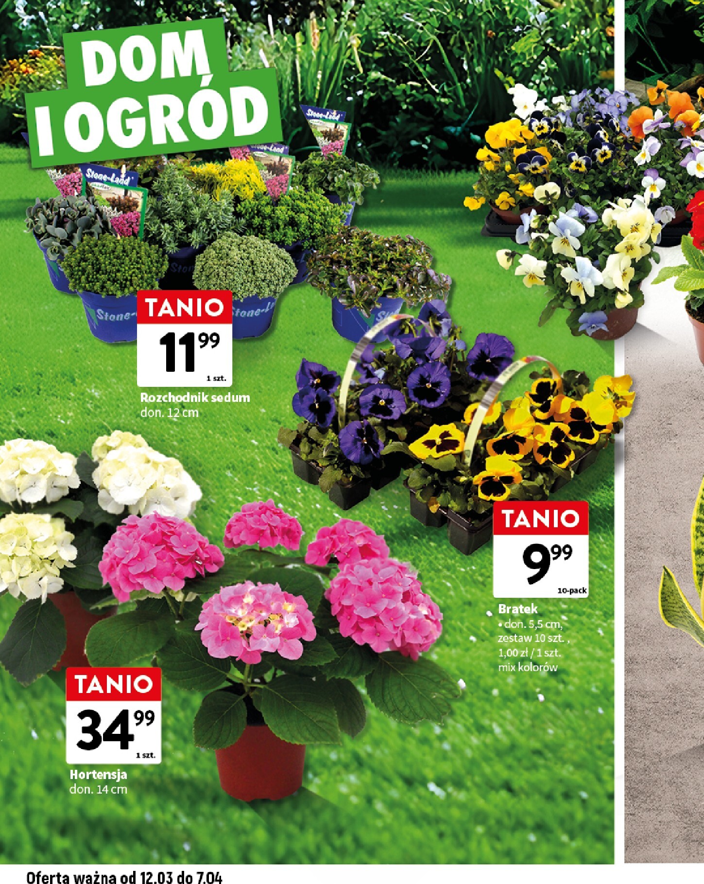 intermarche - Gazetka Intermarché - Wielkamoc inspiracji - ważna od 12.03.2026 do 07.04.2026 - page: 12