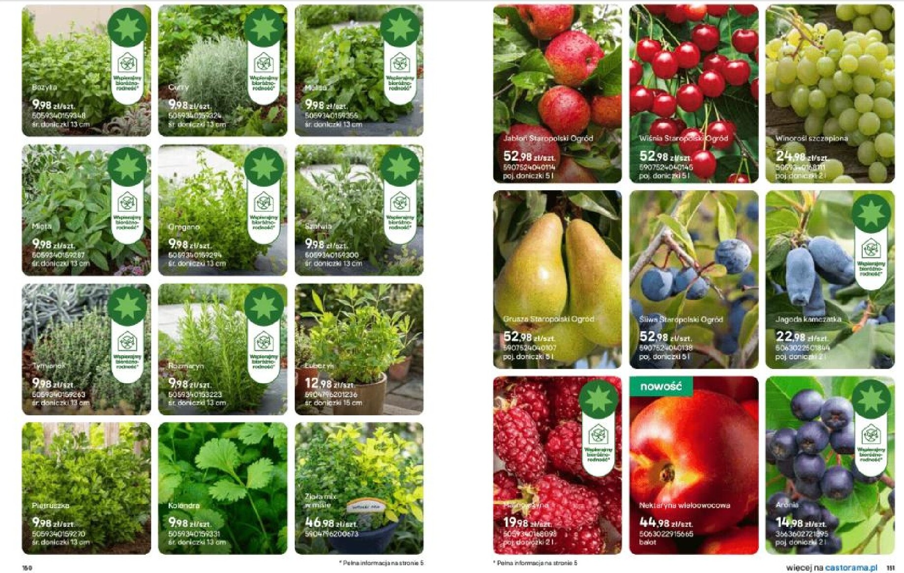 castorama - Gazetka Castorama - Ogrody - ważna od 18.03.2026 do 30.09.2026 - page: 76