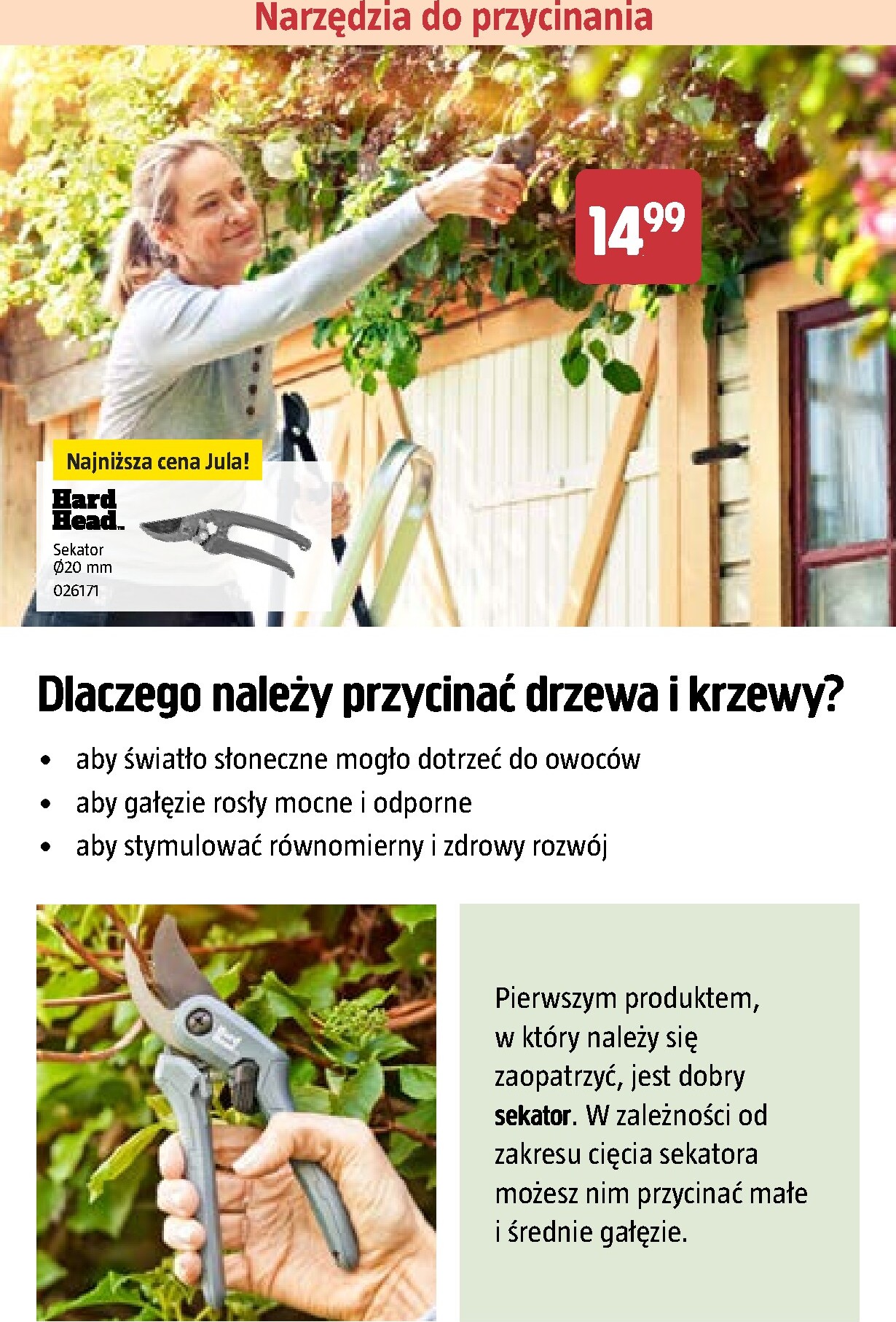jula - Gazetka Jula - Niskie ceny w rozkwicie - ważna od 26.02.2026 do 06.05.2026 - page: 20