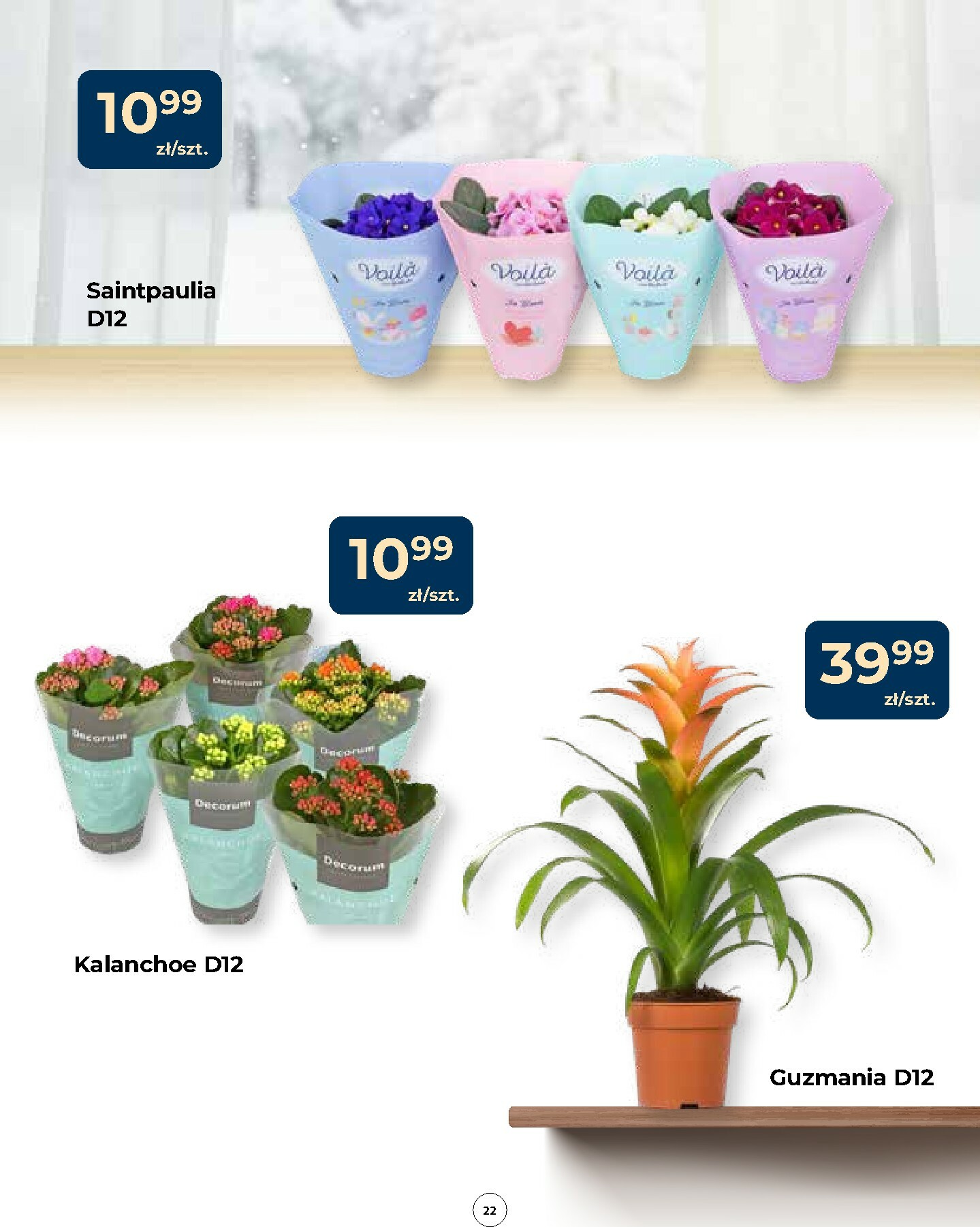 mrowka - Gazetka Mrówka - Bodzentyn - ważna od 15.01. do 28.01. - page: 22