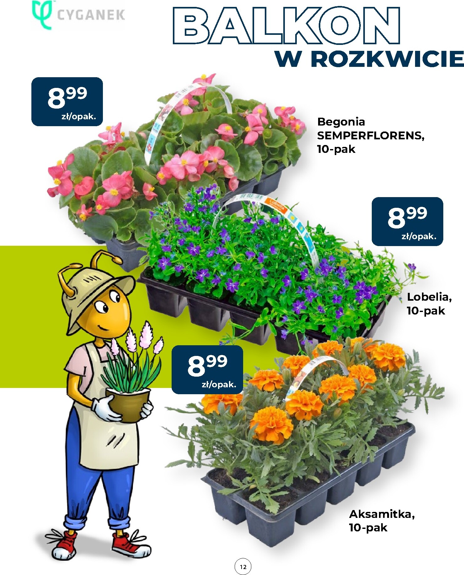 mrowka - Aktualna gazetka Mrówka - Bytów ważna od 23.04.2026 do 02.05.2026 - page: 12