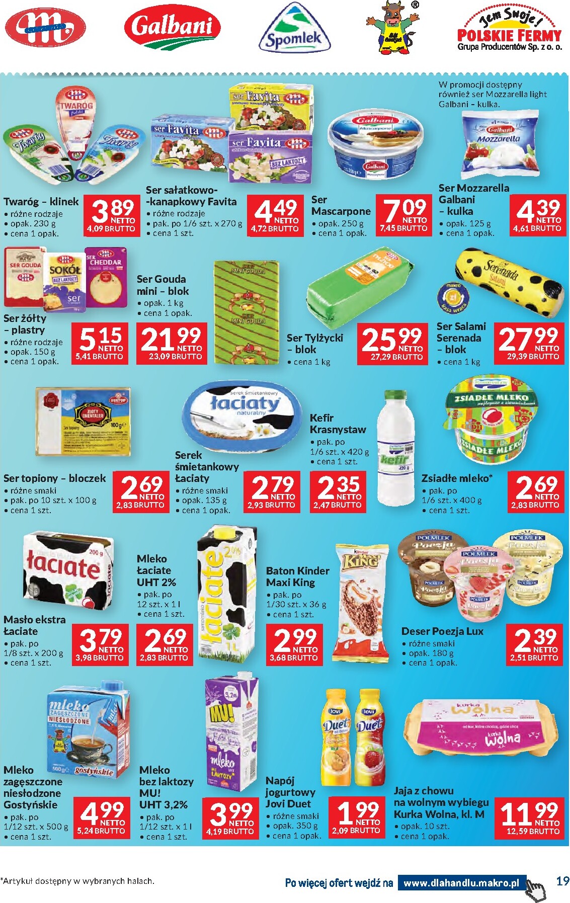 makro - Nowa gazetka Makro - Dowozimy twój sukces ważna od 09.06.2026 do 06.07.2026 - page: 19