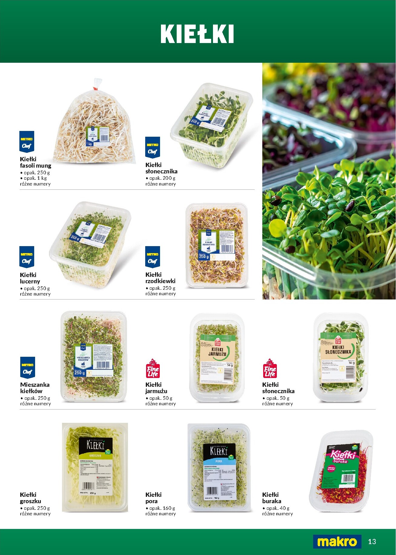 makro - Gazetka Makro - Fresh Oferta - ważna od 15.03.2026 do 31.12.2026 - page: 13