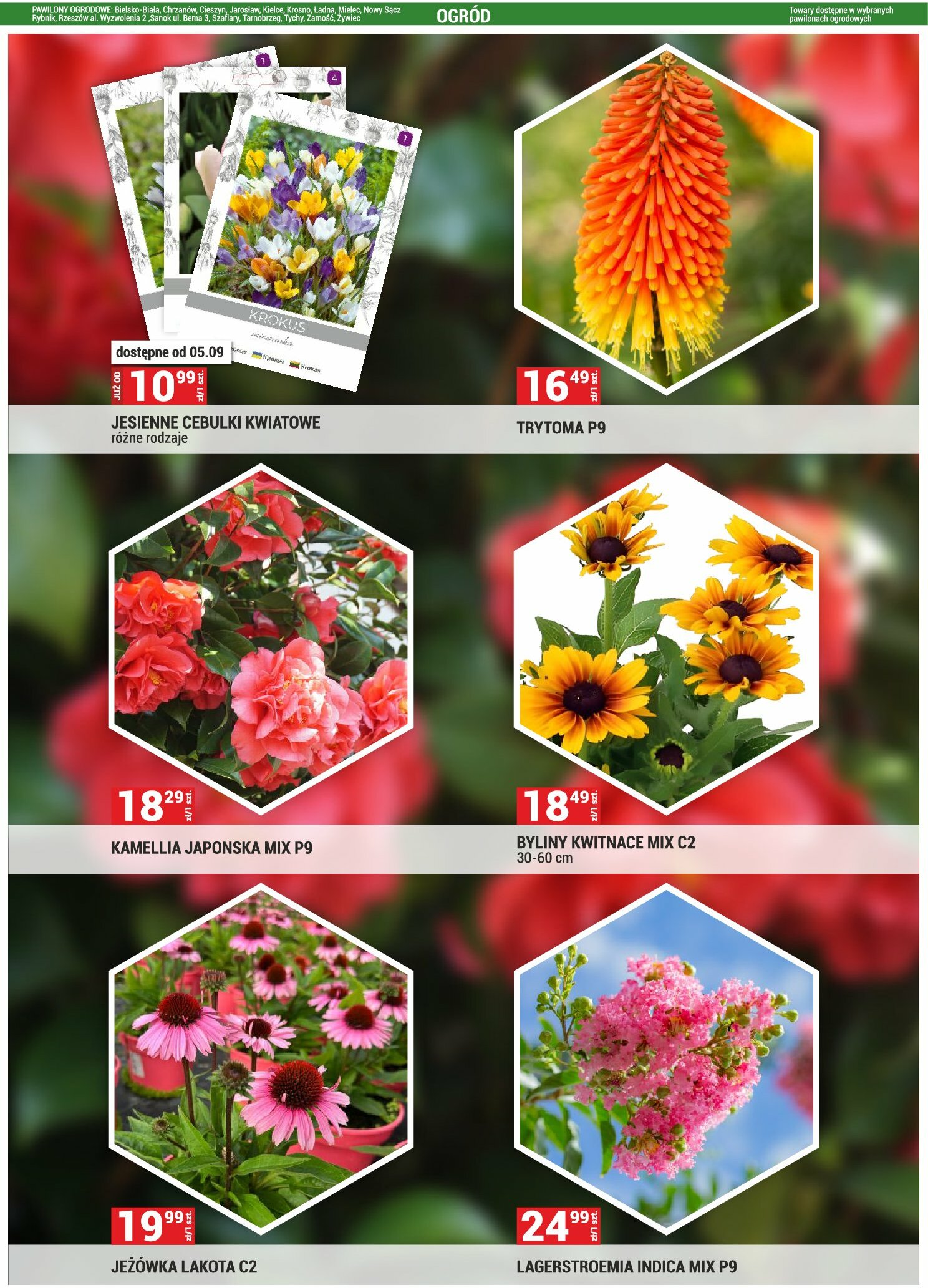 merkury-market - Gazetka Merkury Market - ważna od 01.09. do 30.09. - page: 40