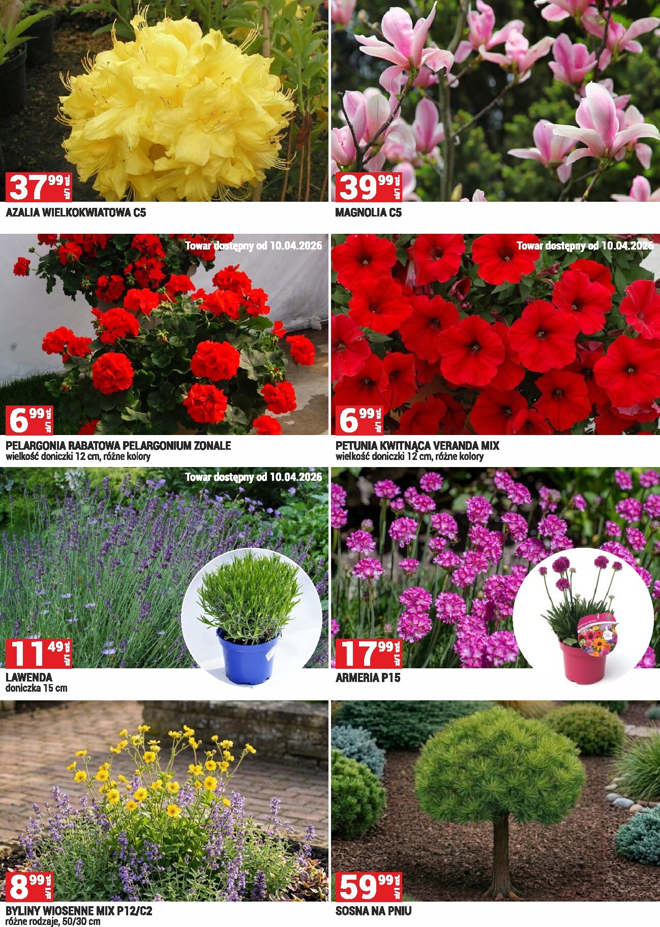 merkury-market - Gazetka Merkury Market - Ogród - ważna od 01.04.2026 do 30.04.2026 - page: 6
