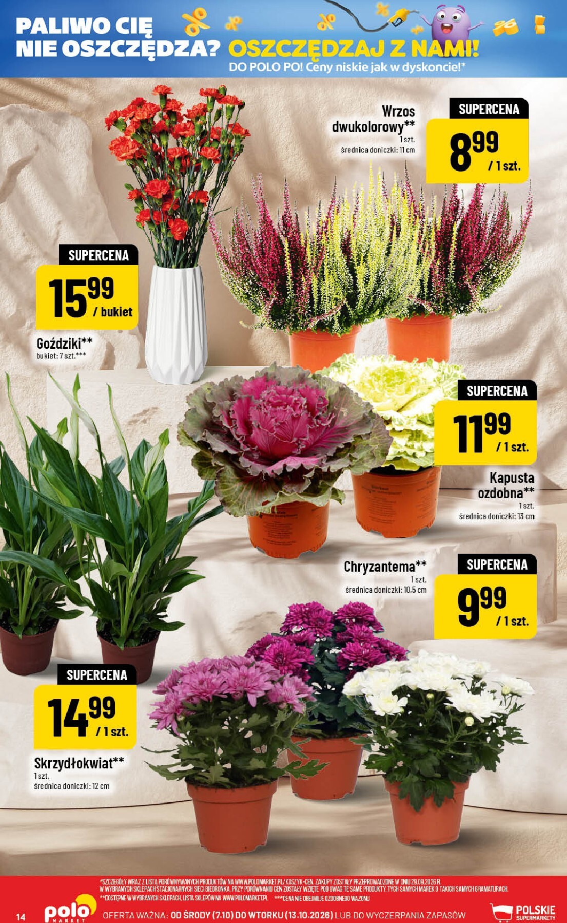 polomarket - Nowa gazetka POLO market ważna od 07.10.2026 do 13.10.2026 - page: 14