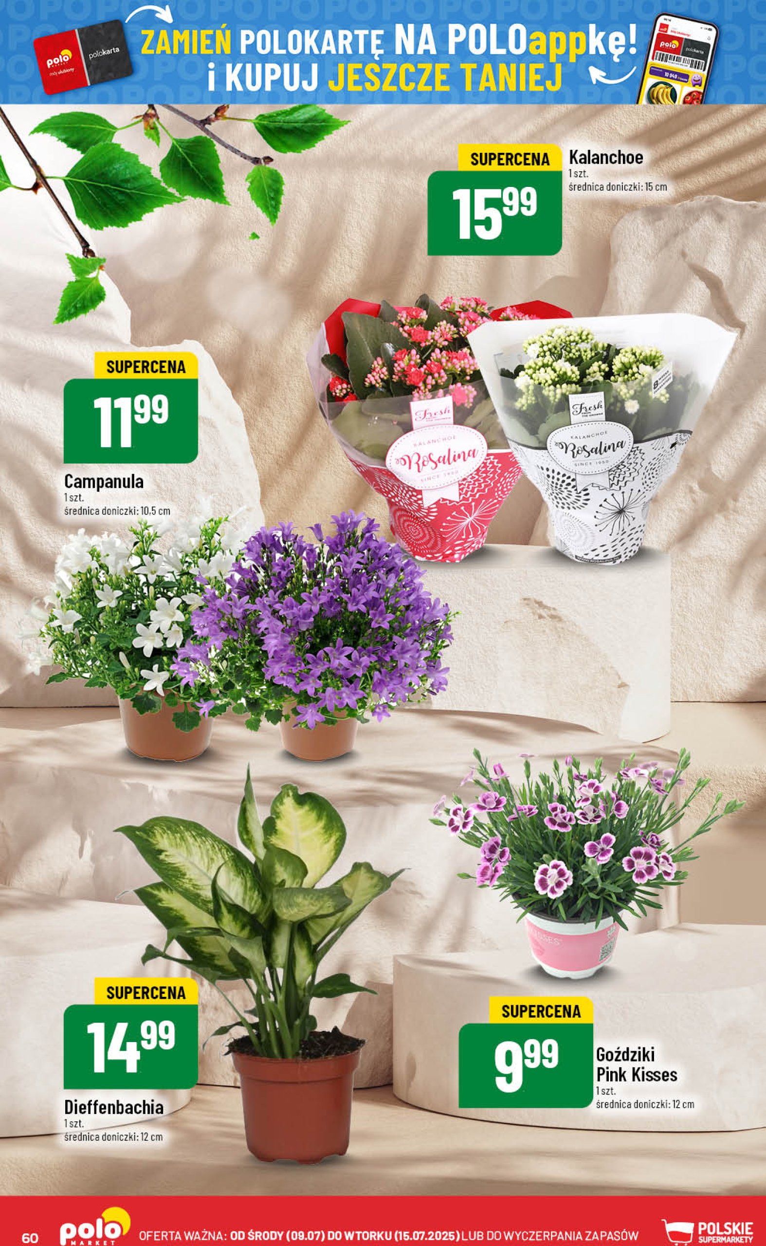 polomarket - Gazetka POLO market ważna od 09.07. - 15.07. - page: 60 polomarket - Gazetka POLO market ważna od 09.07. - 15.07. - page: 60