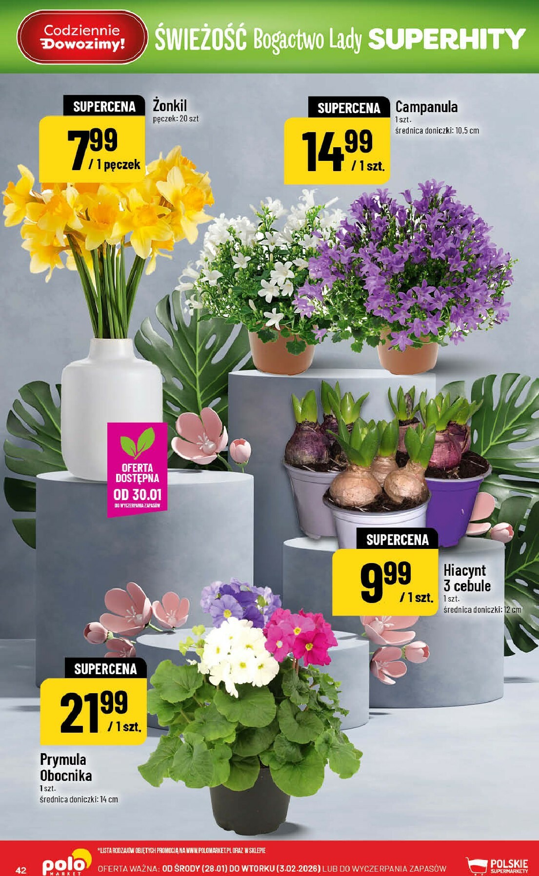 polomarket - Gazetka POLO market - ważna od 28.01. do 03.02. - page: 42