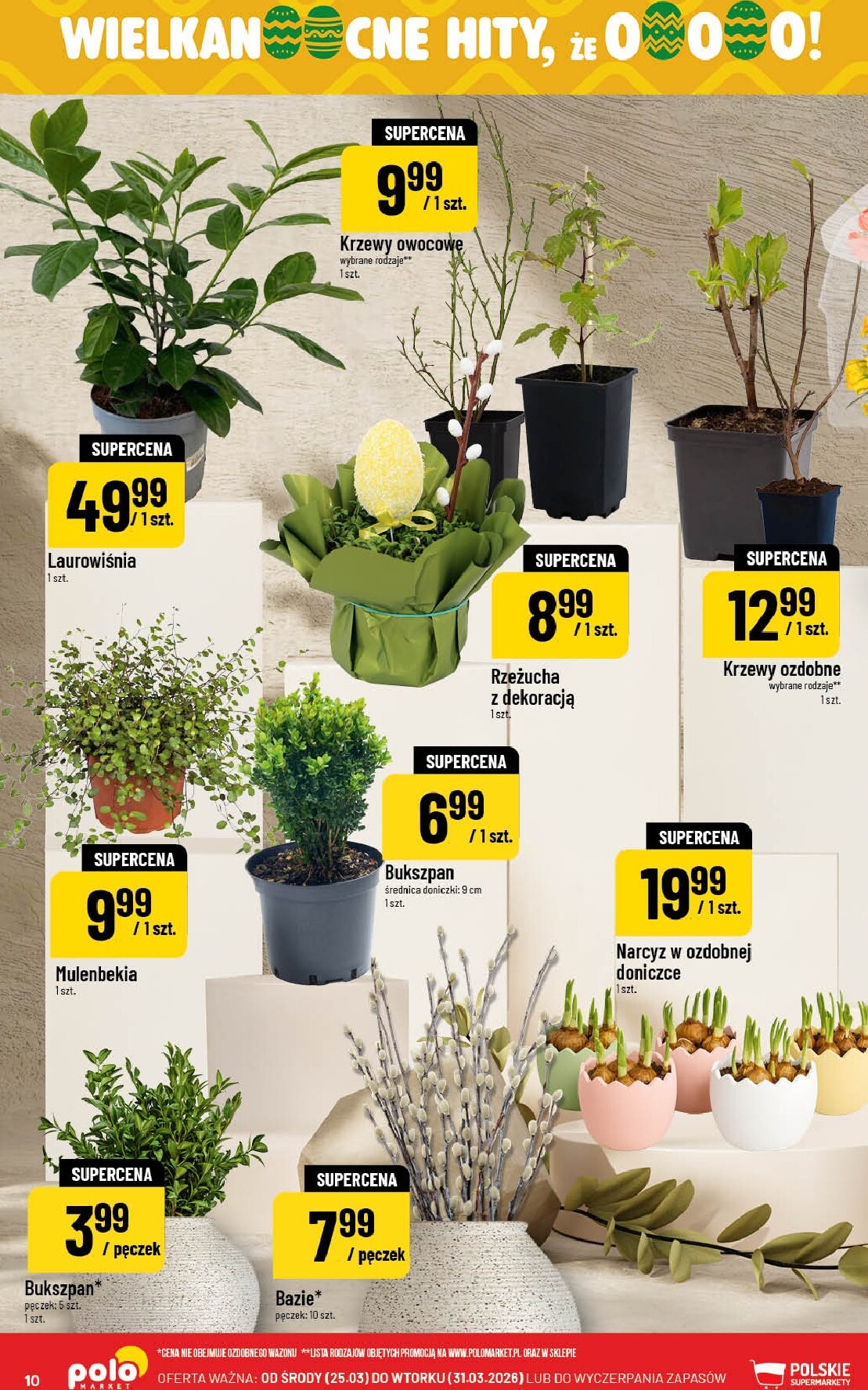 polomarket - Gazetka POLO market - ważna od 25.03.2026 do 31.03.2026 - page: 10