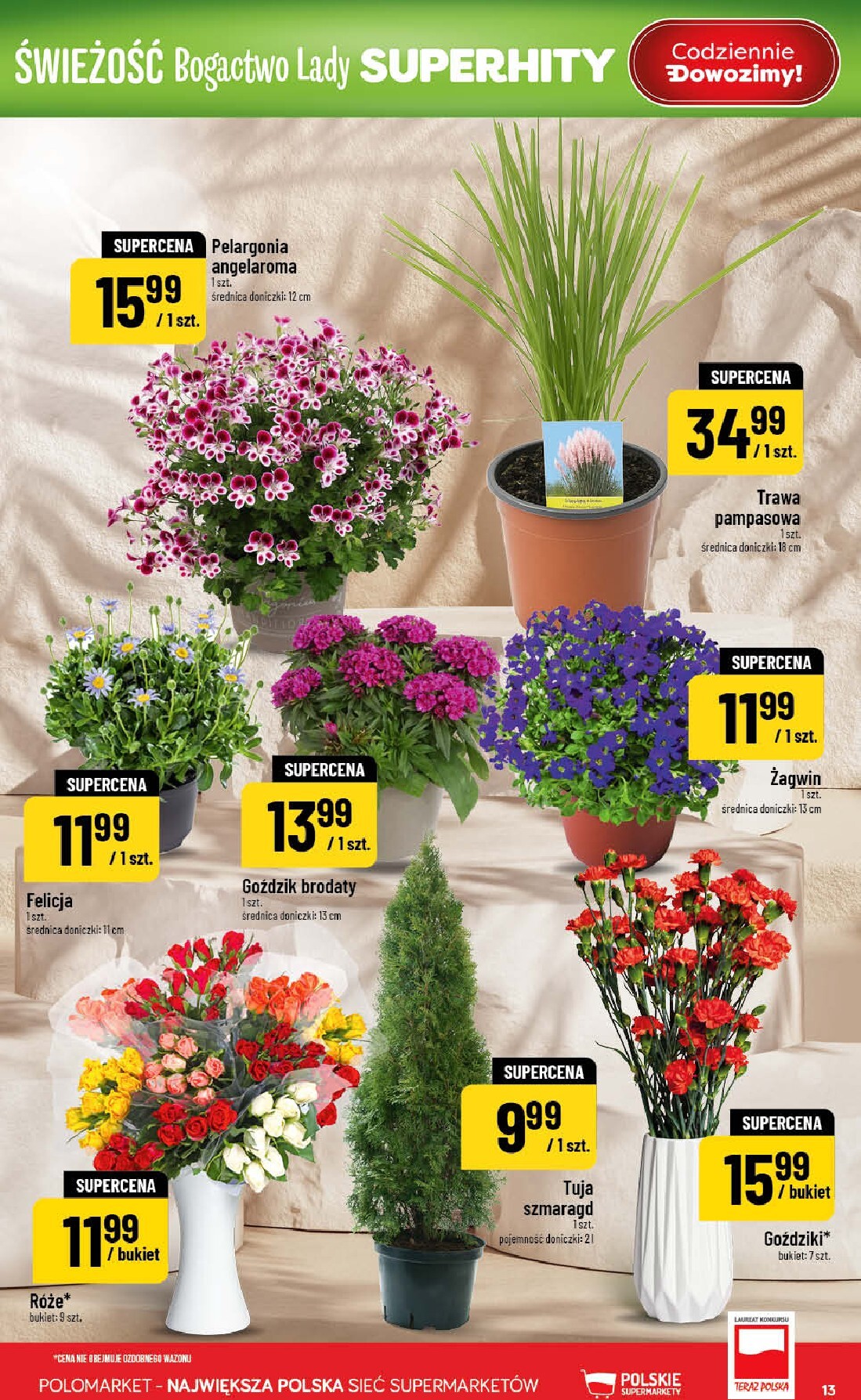 polomarket - Nowa gazetka POLO market ważna od 08.04.2026 do 14.04.2026 - page: 13