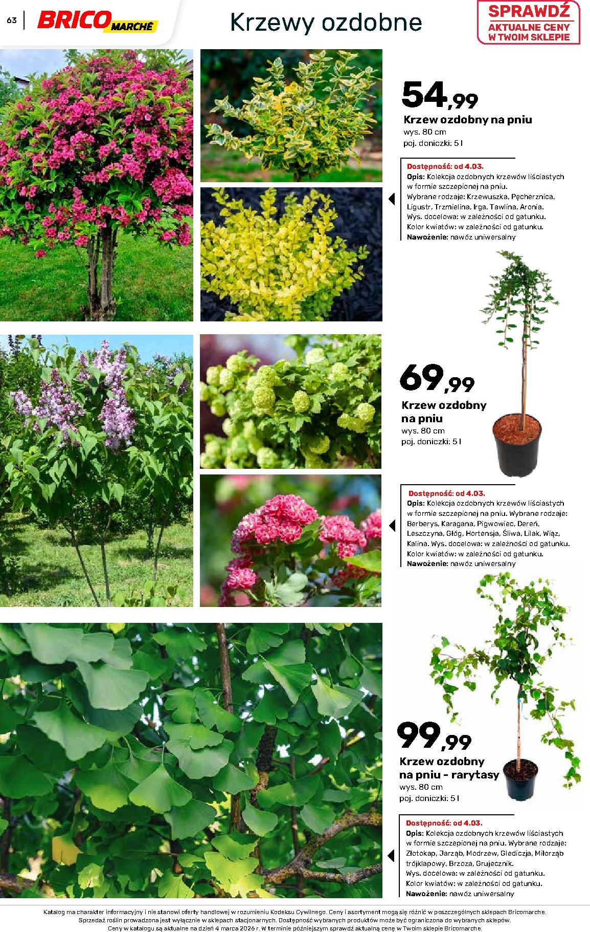 brico-marche - Gazetka Bricomarché - Katalog ogród - ważna od 04.03.2026 do 16.08.2026 - page: 63